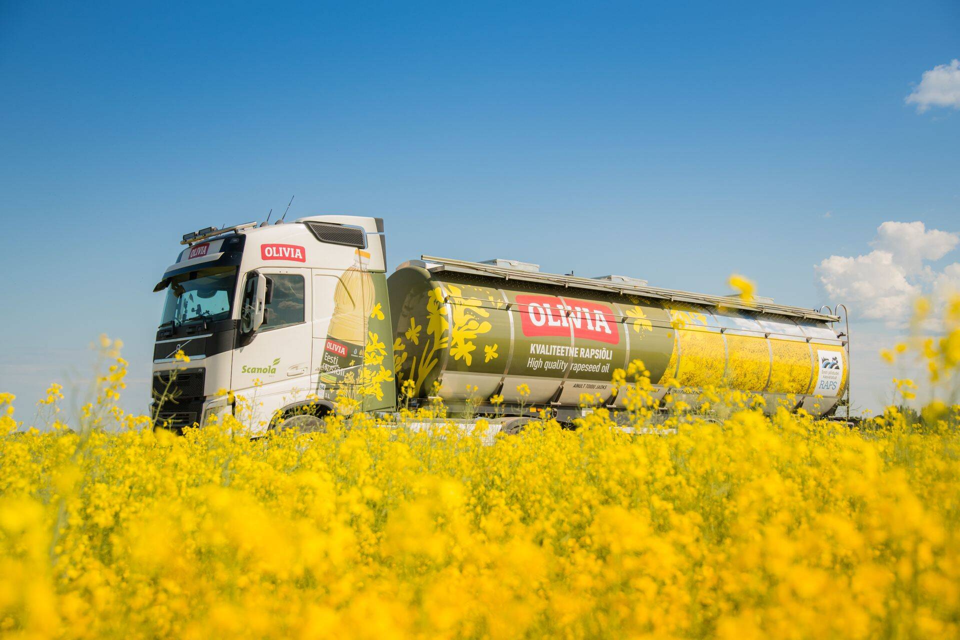 AS Scanola Baltic toodab Jõgevamaal Painkülas asuvas töötlemistehases kodumaistest rapsiseemnetest rafineeritud rapsiõli Olivia. Kõrgekvaliteediline Olivia rapsiõli vastab Euroopas kehtivatele täisrafineeritud taimeõli kvaliteedinõuetele.