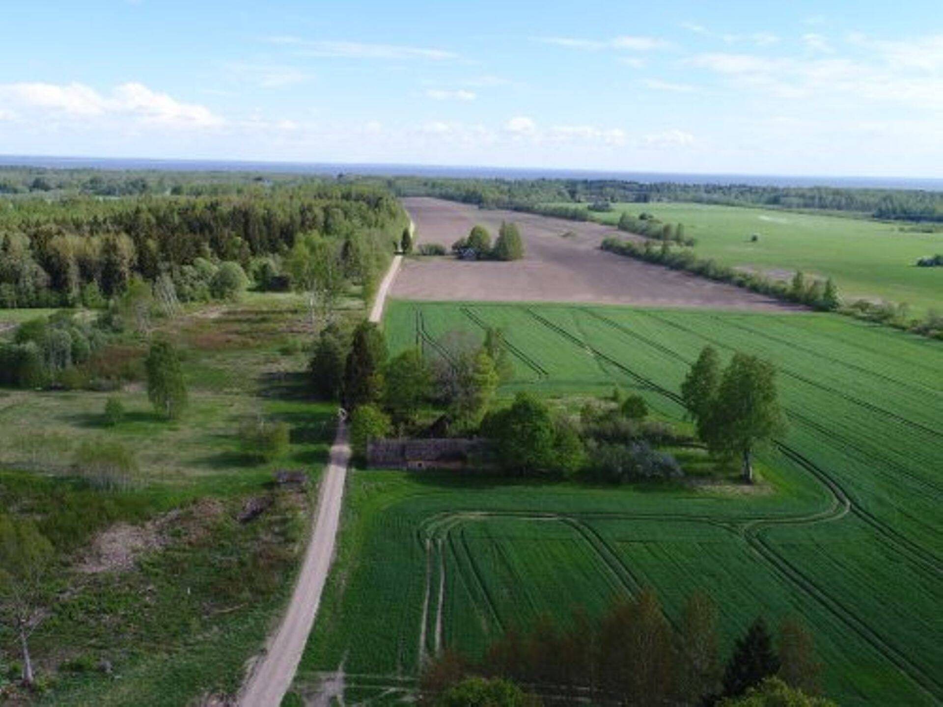 Занимающаяся лесом компания Aerop Invest делит хуторские земли, а что остается - продает