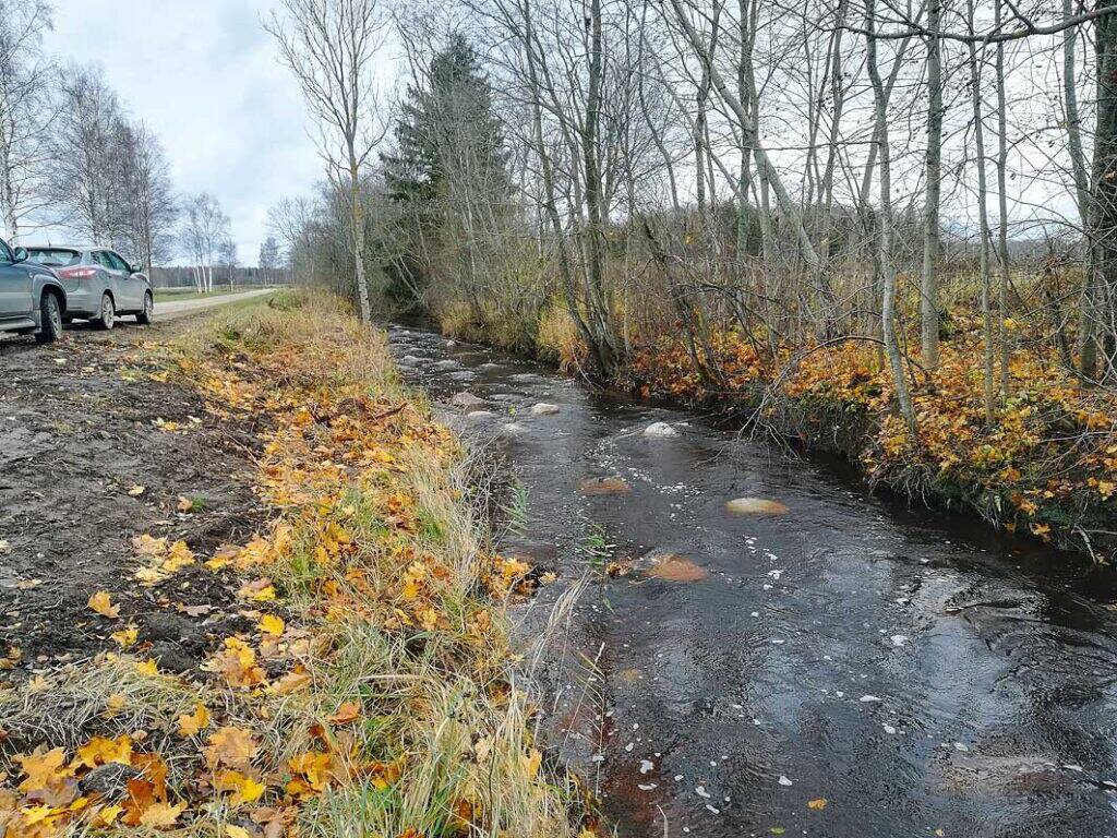 Timmi kanalisse rajatud varjepaigad.