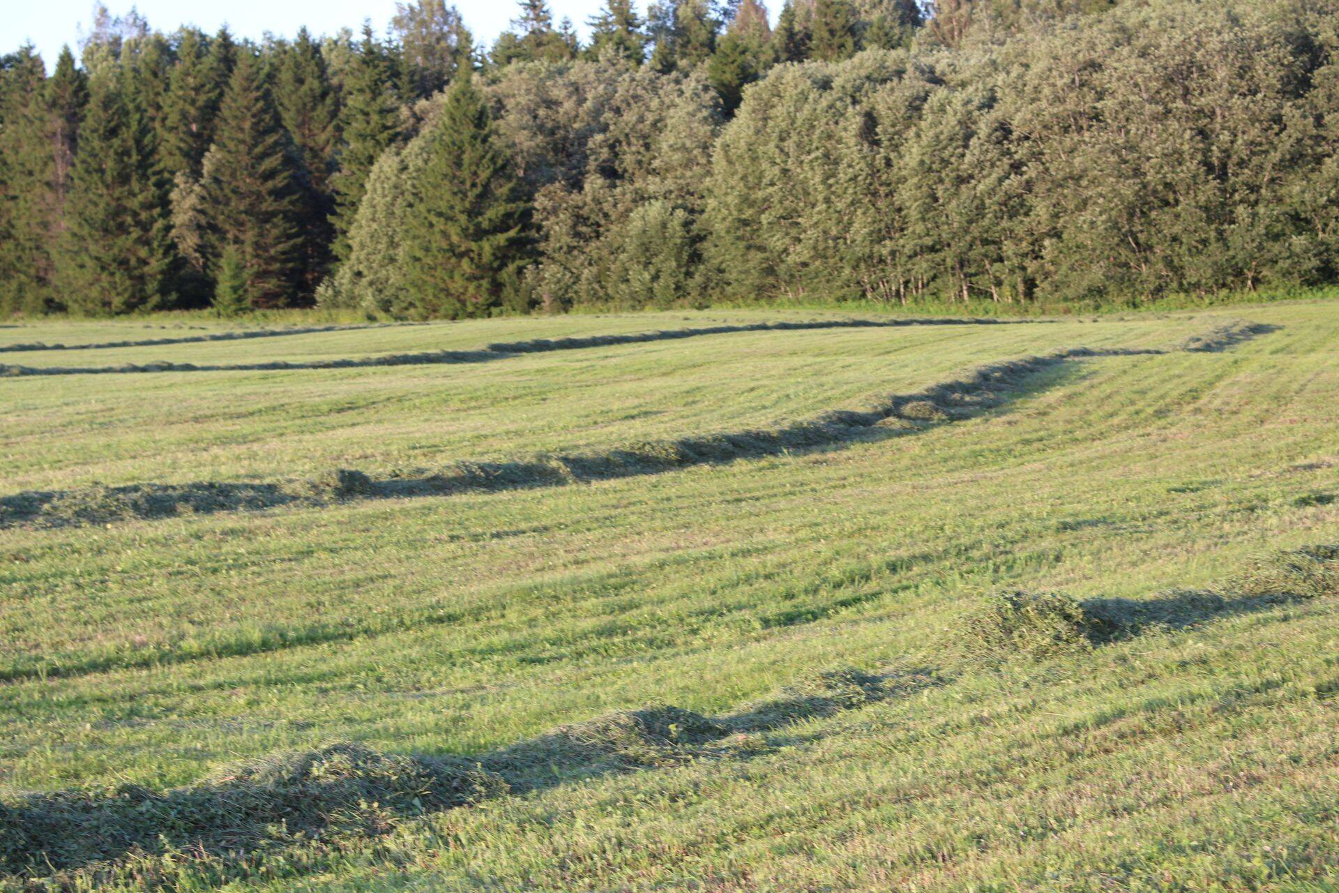 Poolloodusliku koosluse hooldamise toetust taotles 842 taotlejat ca 34 100 hektarile.