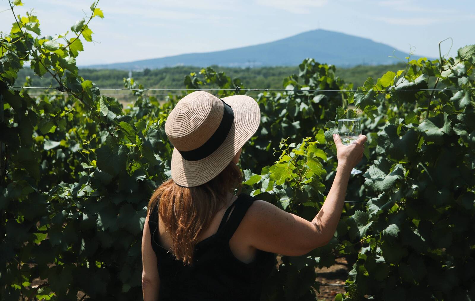 Кроме прочих товаров, Россия увеличила таможенную пошлину на вино из «недружественных стран».