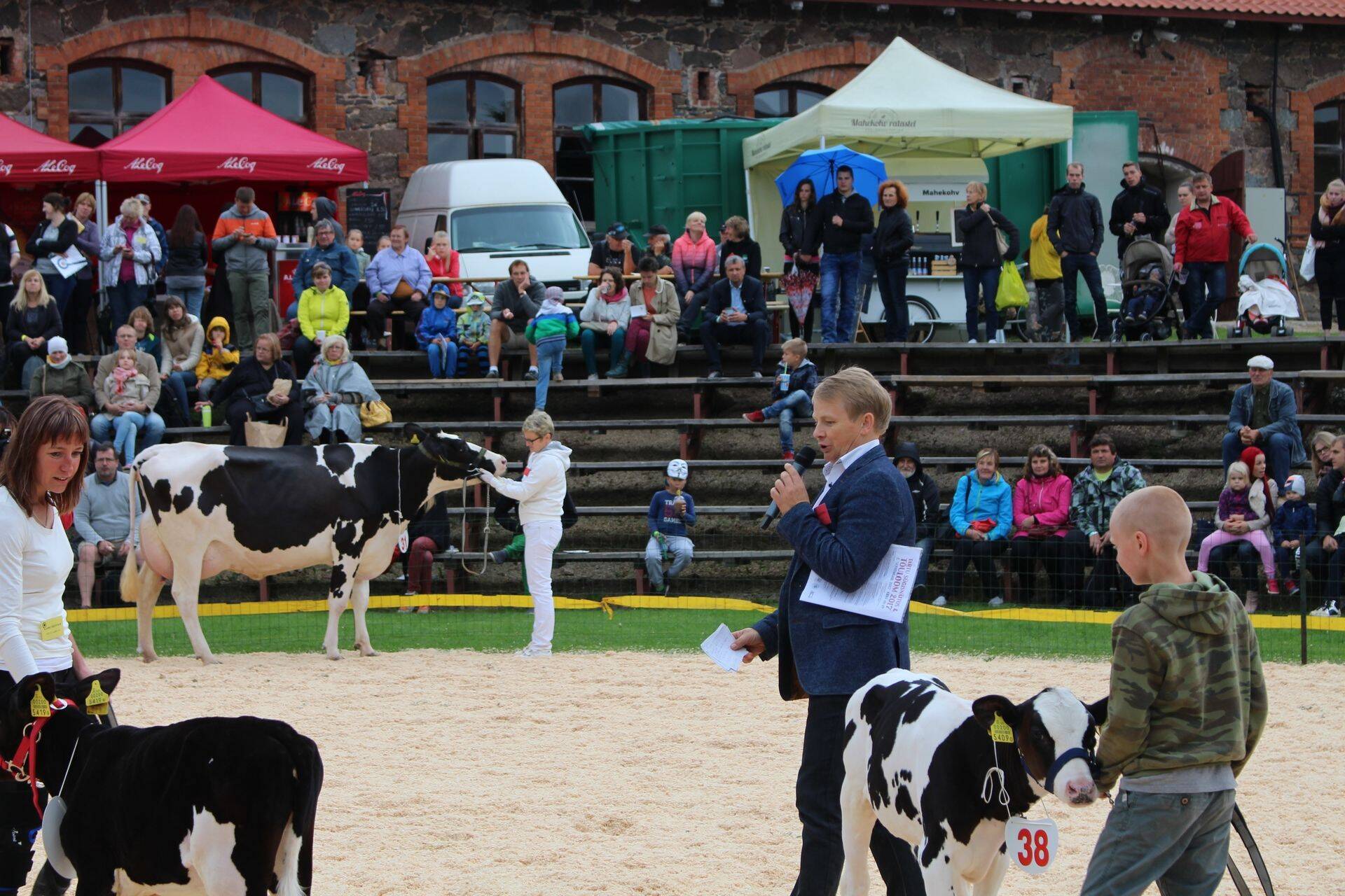 Aastaid on Ülenurmel toimunud kaunima vissi valimine.