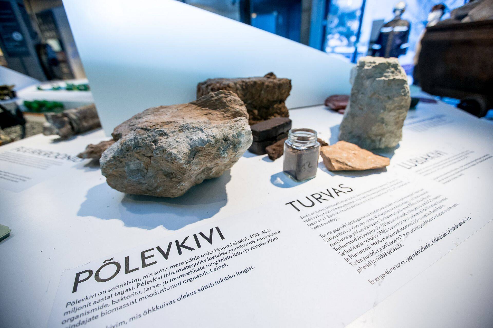 Горючий сланец в музее ТТУ