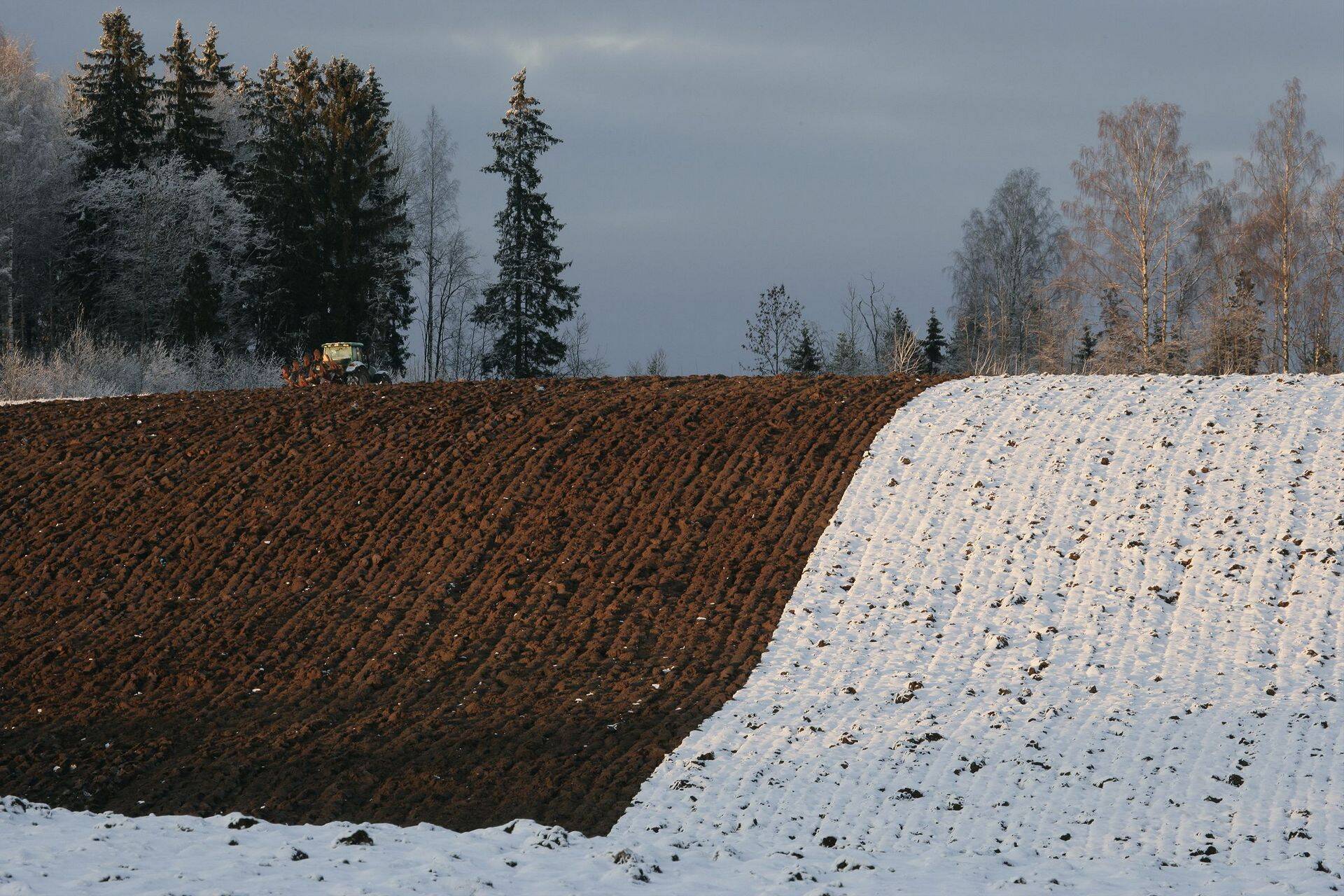 Mullakaitse toetus – kellele ja milleks?
