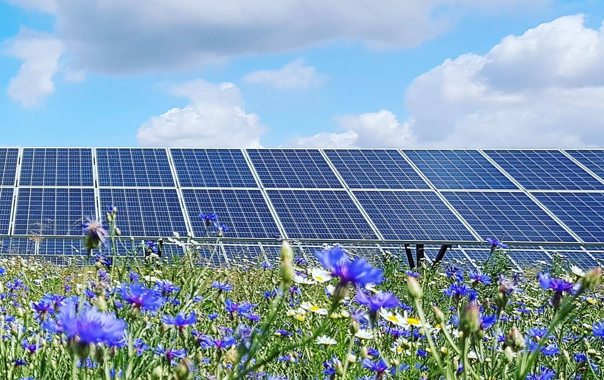 2020 oli päikeseenergia vallas murranguline aasta.