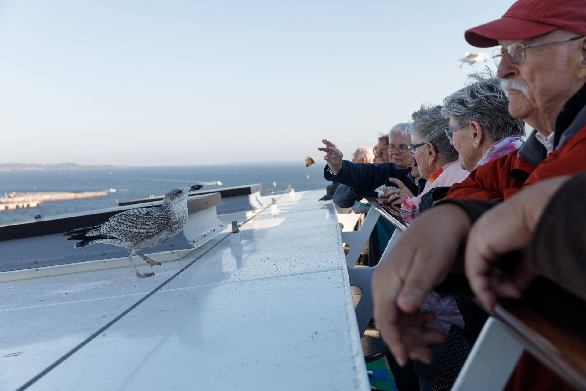 Reisijad Tallinki laeval teel Helsingist Tallinna.