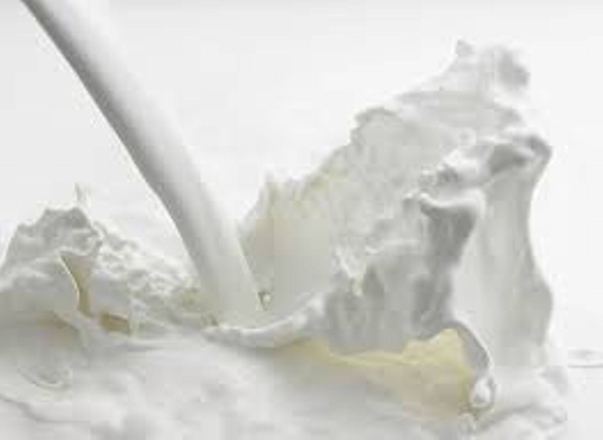 В сентябре закупочные цены на молоко выросли в Эстонии на 45,7%