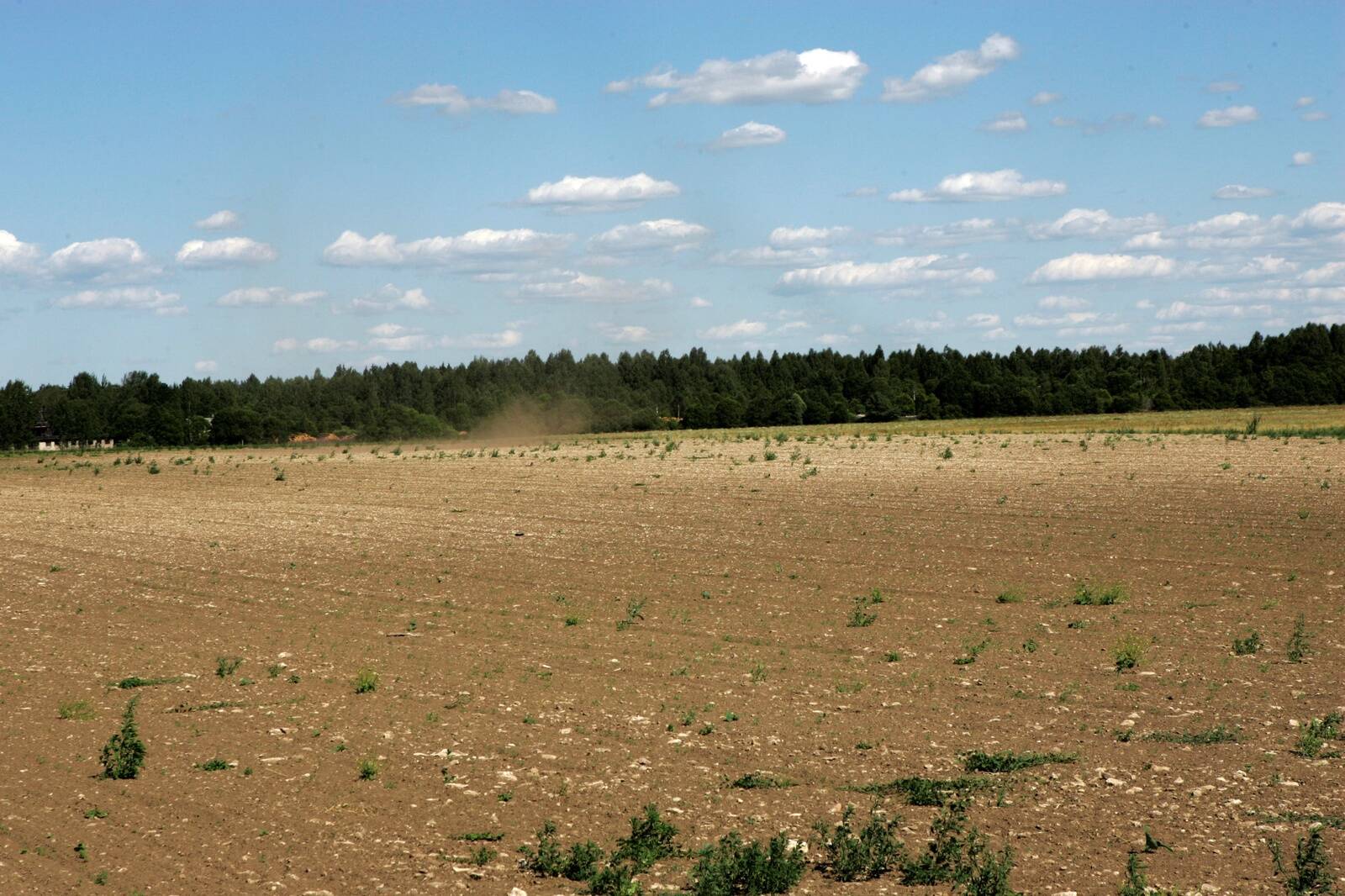 Liigses kuumuses närbub elusloodus ja ka inimesed.