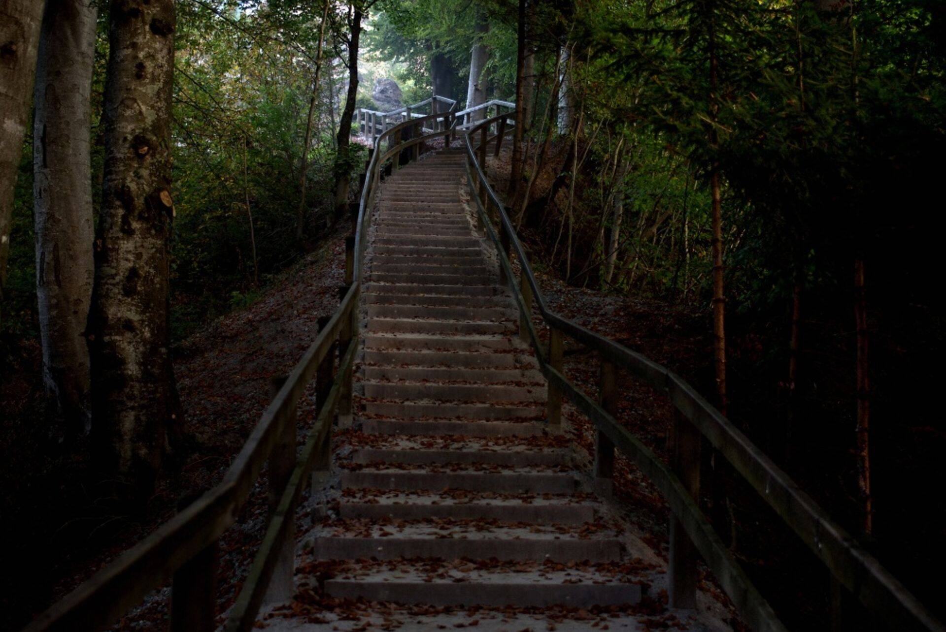 Выход на новые рынки