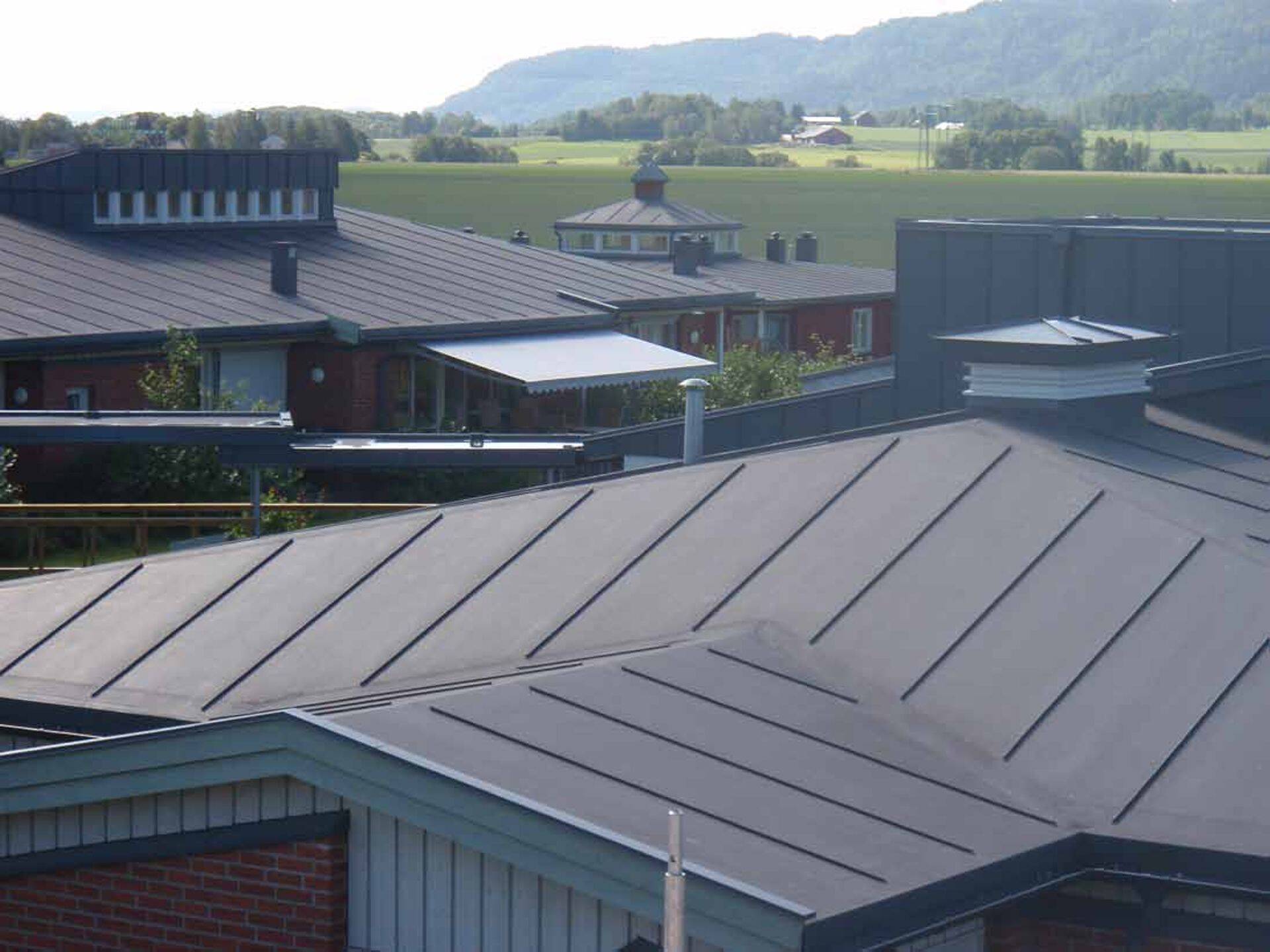 Arhitektuursete profiilidega Protan katused