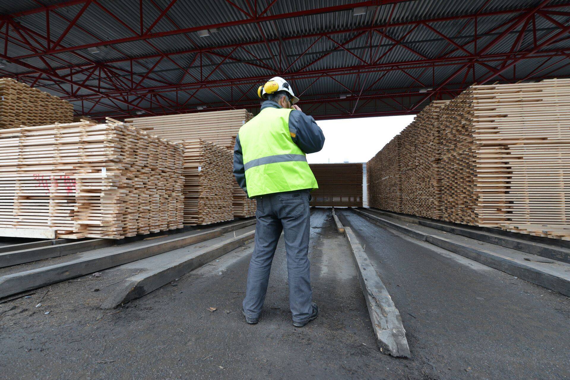 Soome metsatööstusel on sel aastal hakanud paremini minema.