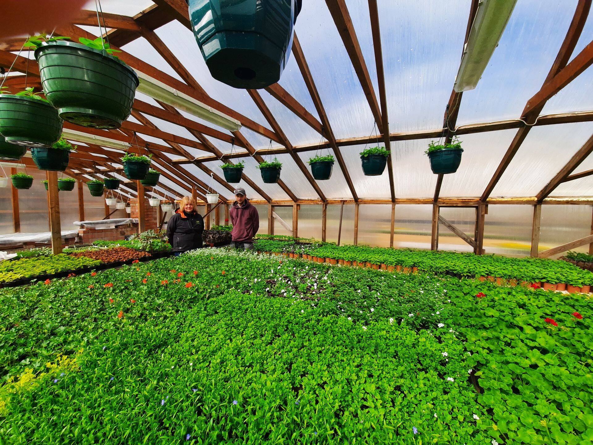 Kartin Valler ja Erik Rüütel ühes kolmest kasvuhoonest.