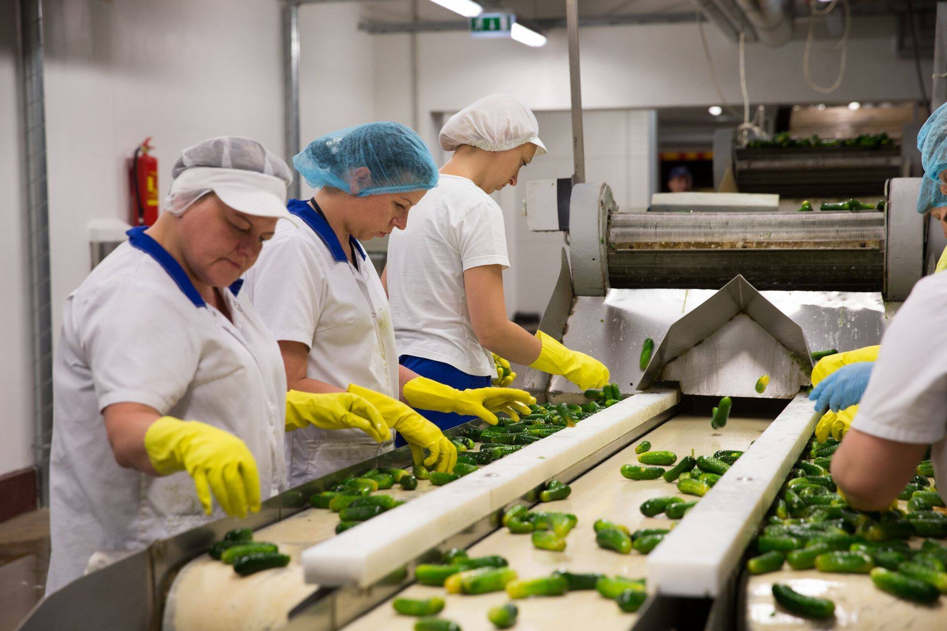 Salvesti järgmise aasta investeeringud lähevad tehnoloogiasse, millega kaasneb võib-olla ka mõnede uute töötajate palkamine.