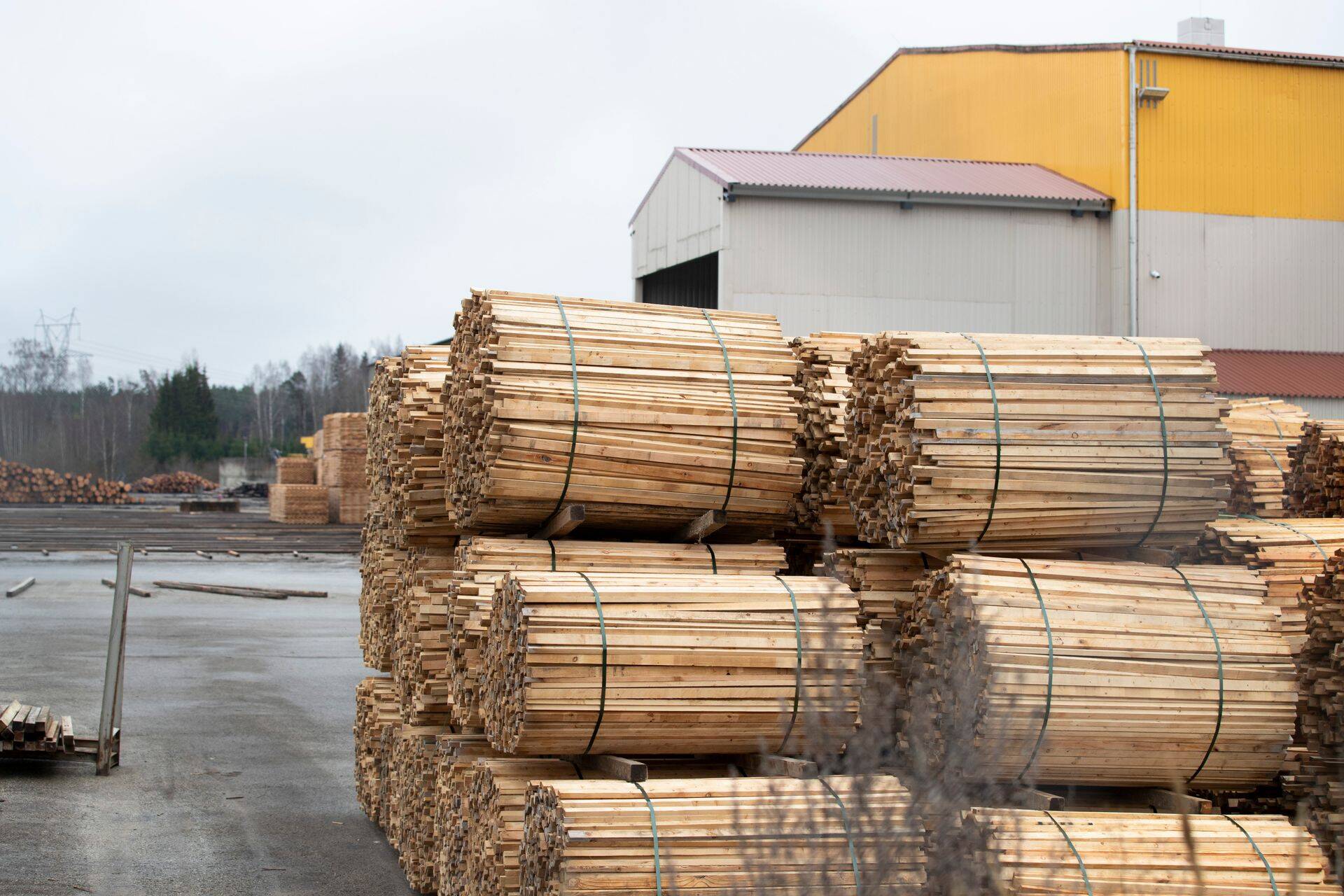 Saematerjali järsk hinnatõus toetab tegelikult üsna suurt osa Eesti tööstusest, kuid ehitussektoril on sellest vähe rõõmu.