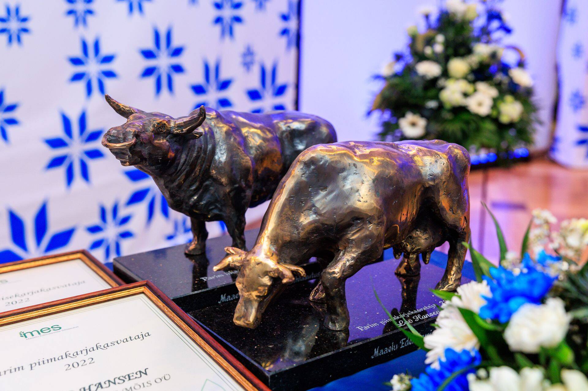 Tauno Kangro skulptuuridega on seni tunnustatud parimat piimakarjakasvatajat ja lihaveisekasvatajat.