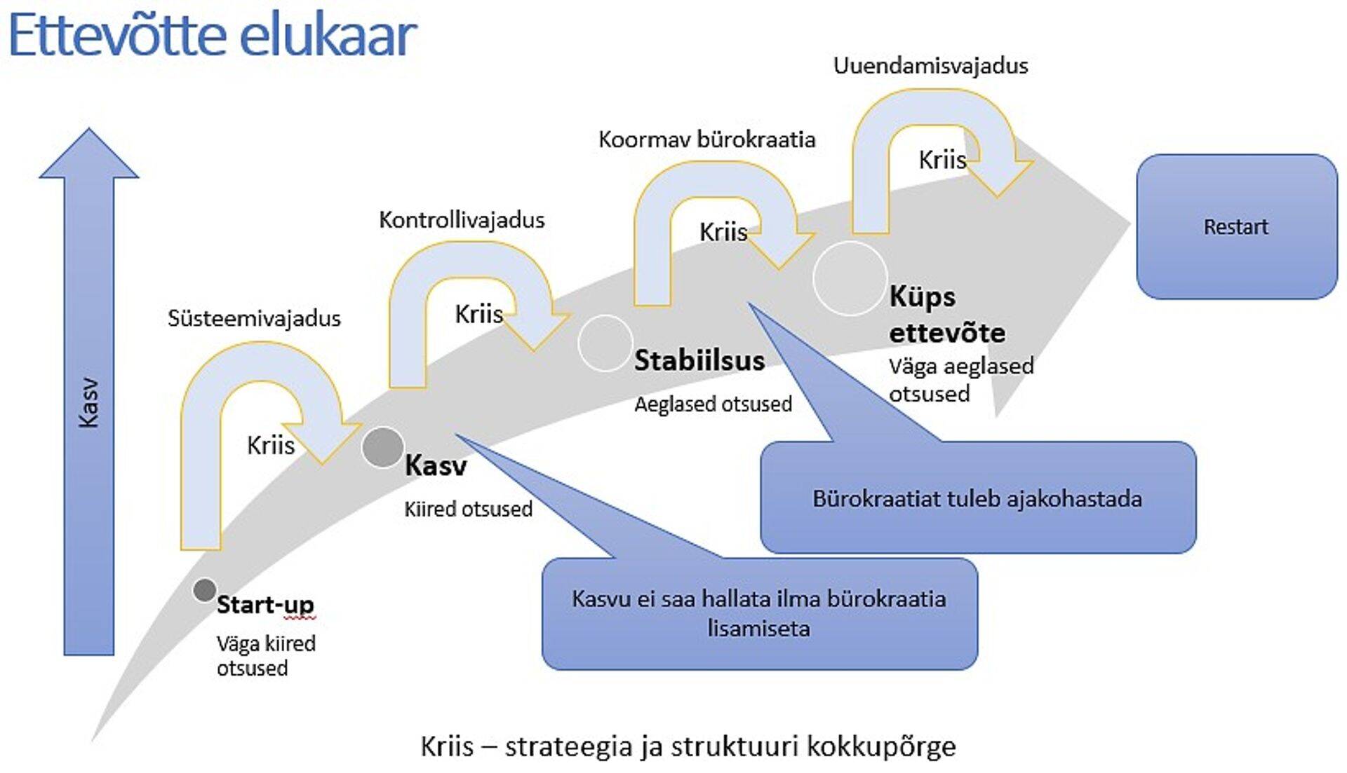 Ettevõtte elukaar