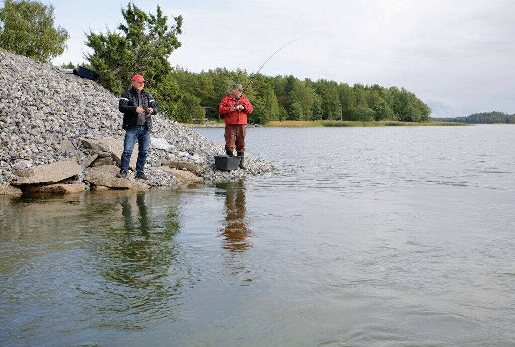 Silla juurest tuleb kala järgemööda