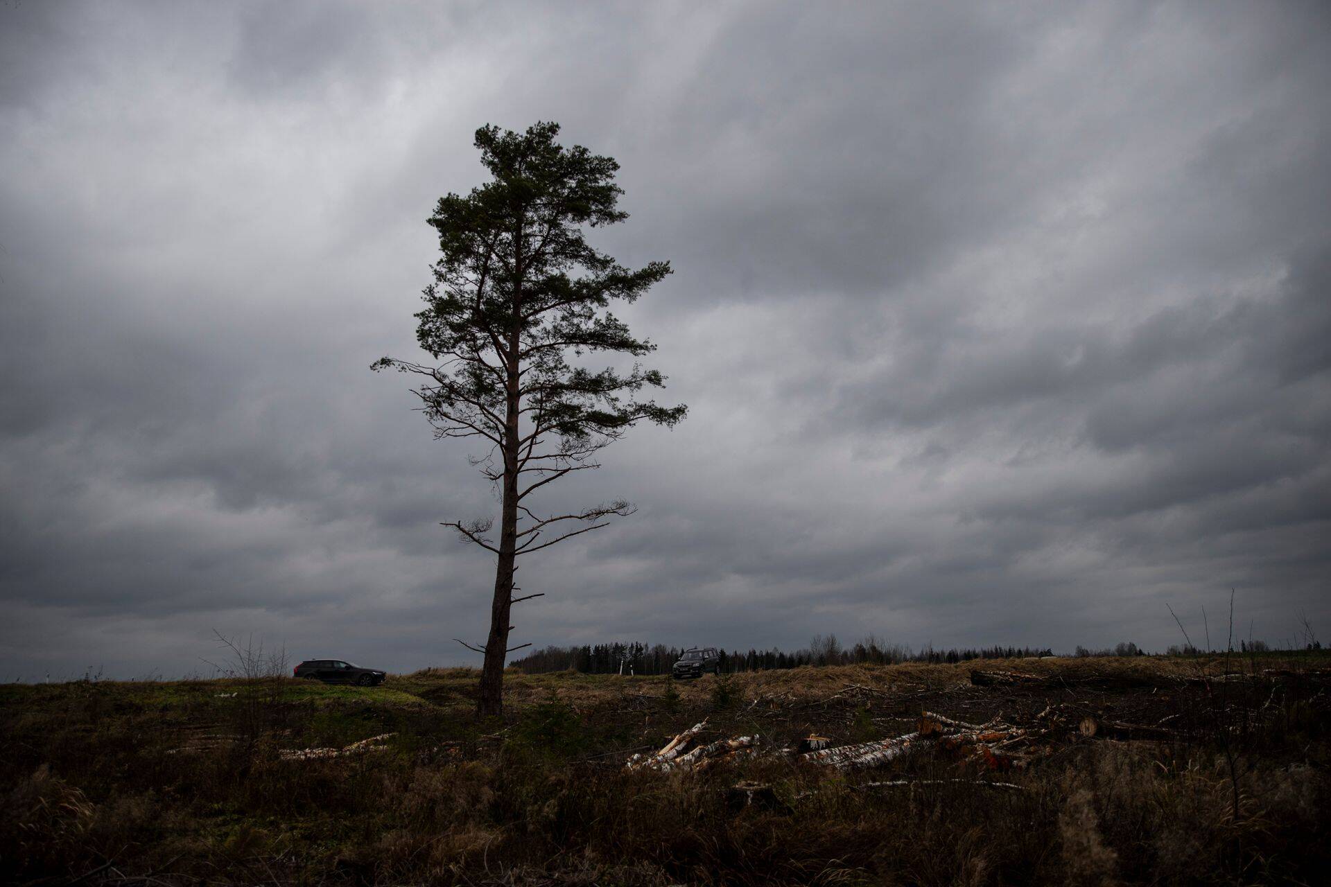 Иллюстративное фото.