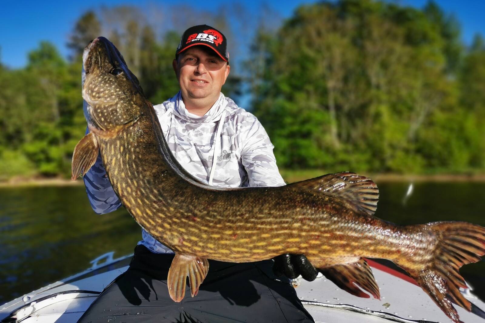 Parimad landid meie rannikumeres haugi püüdmiseks