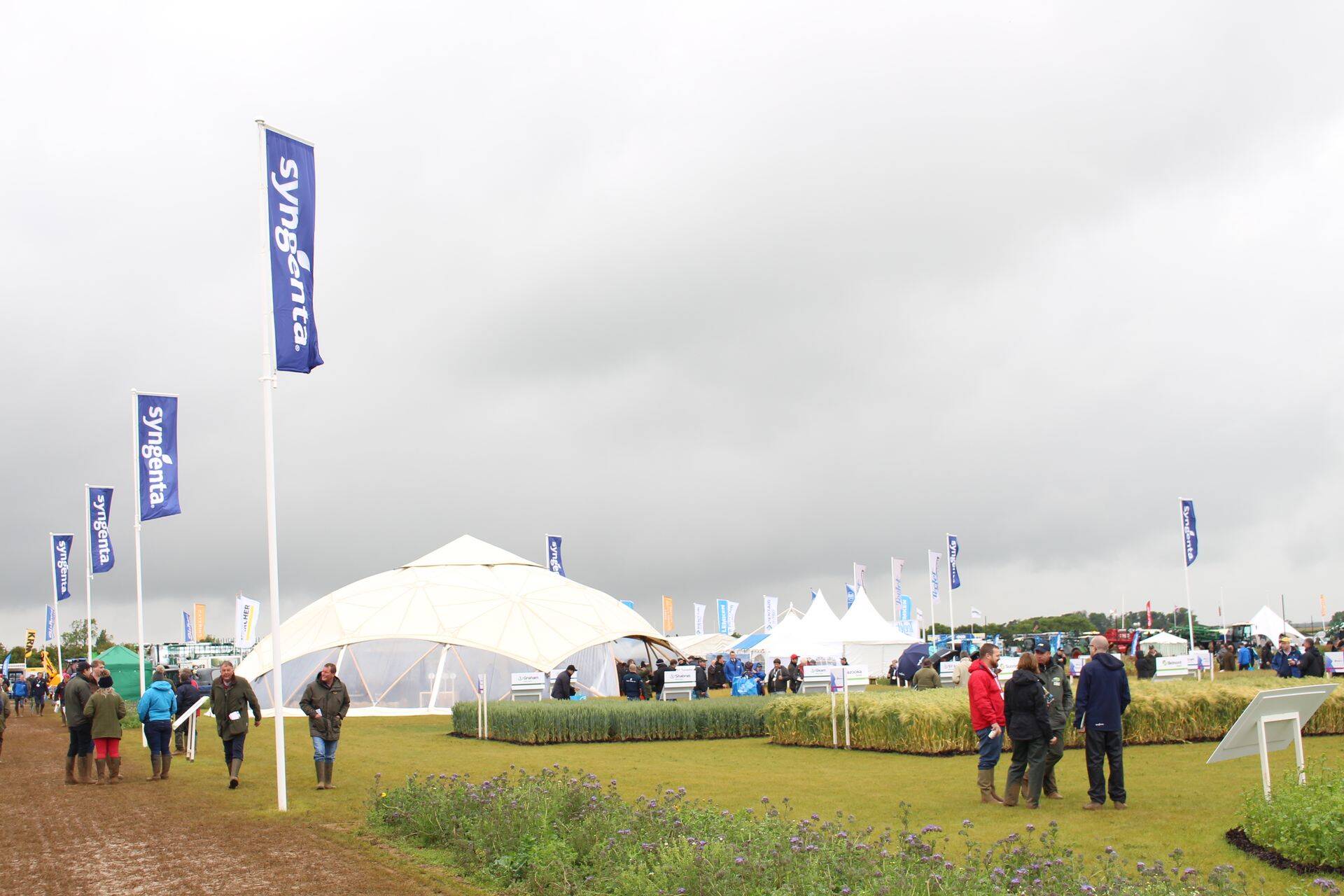 Cerealsi mess Inglismaal.