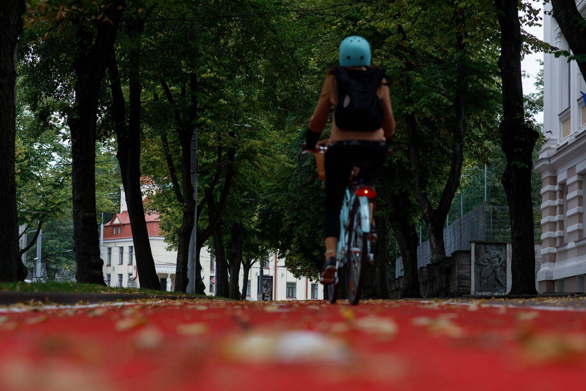 Tallinnas võõbati jalgrattateed esialgu punaseks.