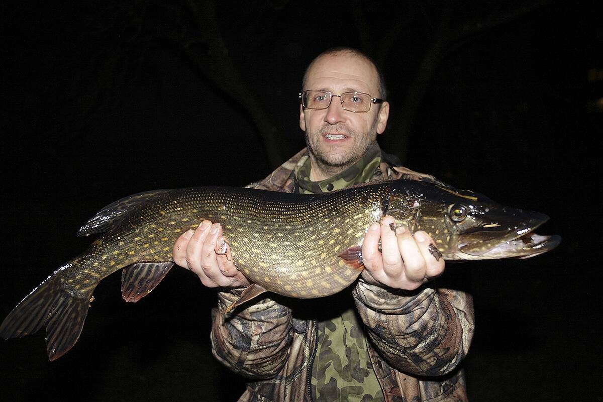 Hilissügisel maksab haugi otsida veekogu sügavamatest osadest.