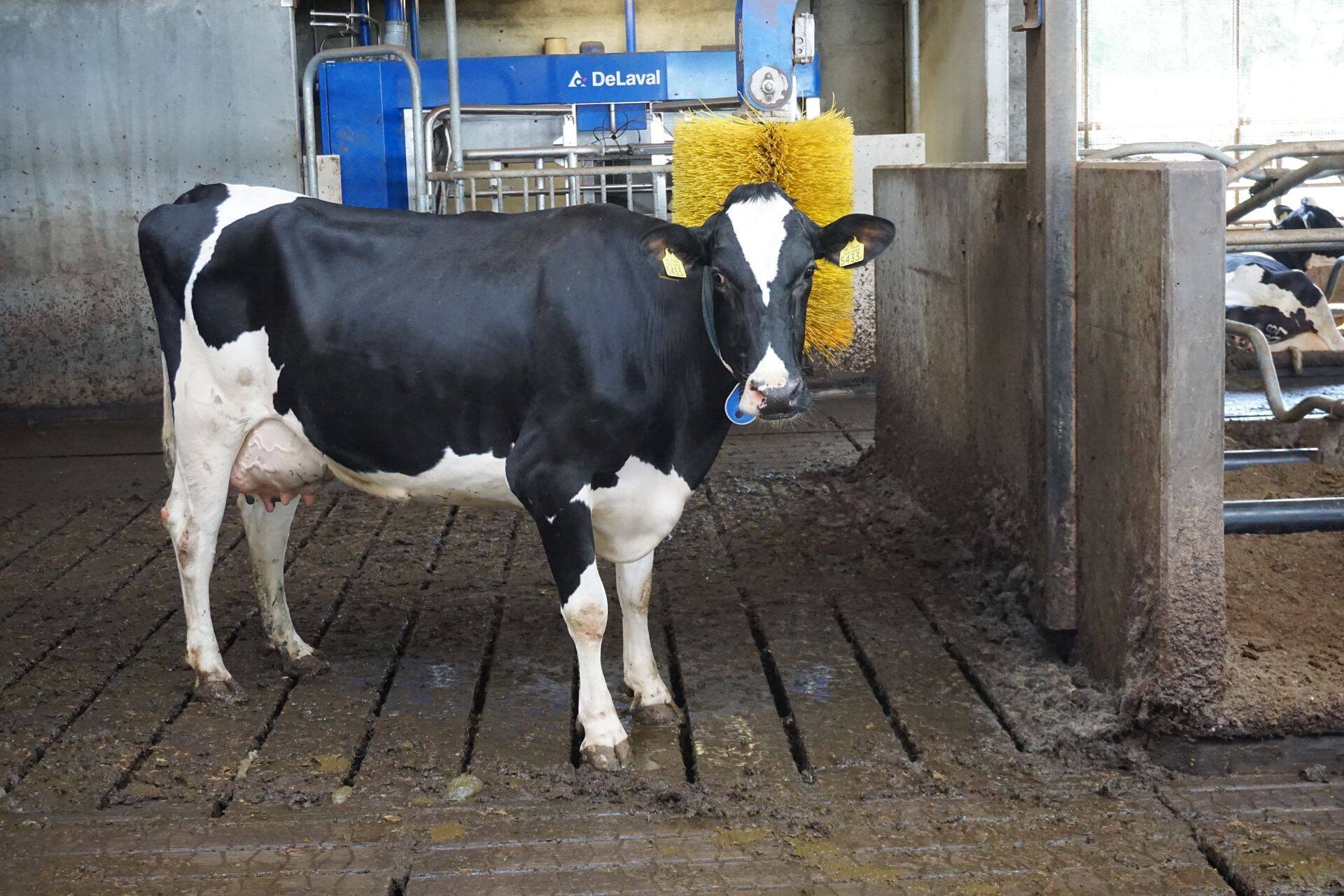 DeLavali emafirma annetab kriisiabiks 10 miljonit eurot.