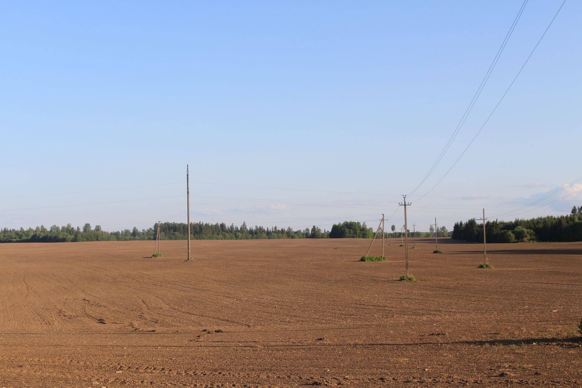 MES aitab pindalatoetuste vormistamisel
