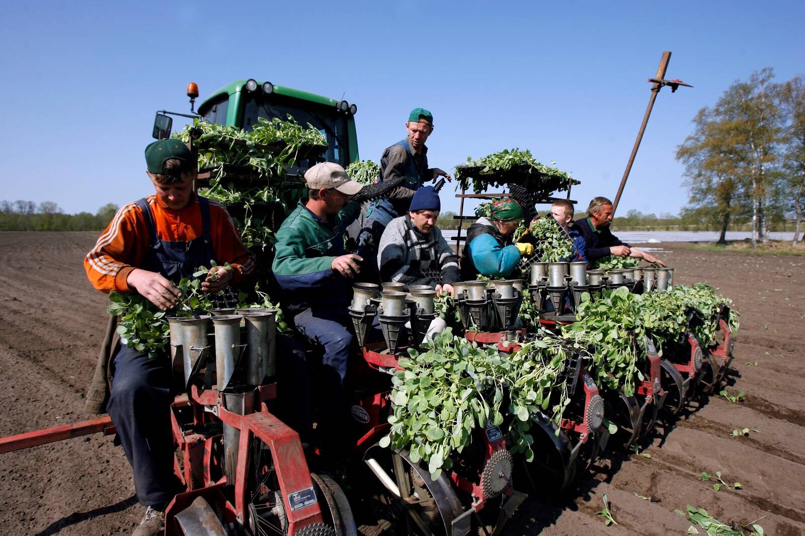 Hooajatöötajatel soovitab MTA veenduda, kas tema töötamine on hiljemalt esimesest tööpäevast alates töötamise registris registreeritud.