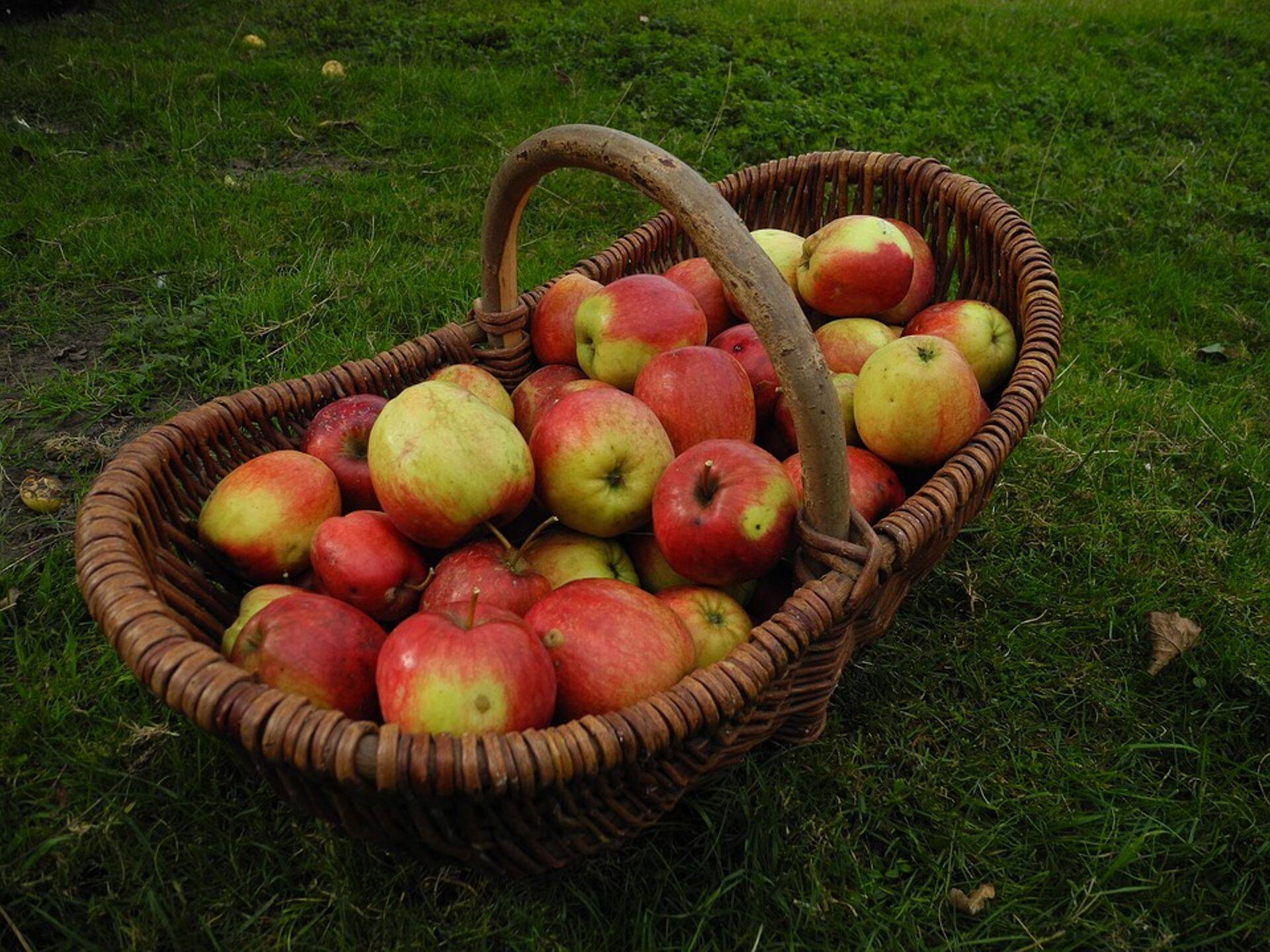 Aiandusliit kutsub taas Visioonikonverentsile