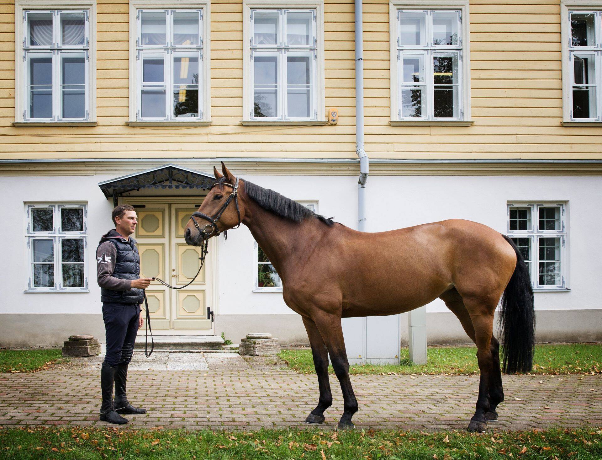 Talve lähenedes tuleb hobused kokku pakkida ja soojemale maale kolida.