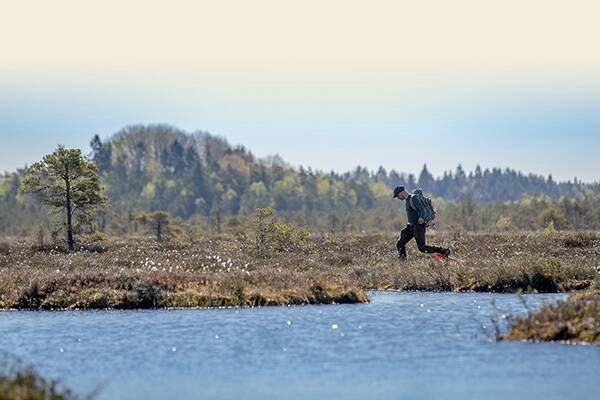 Keava linnamäe väljakaevamistel 2002. aastal oletasid arheoloogid, et kuna muinasajal asus naabruses Verevainu soo, võib see peita inimasustuse jälgi. Ette võetud uuringu tulemused olid üllatavad. © Tiit Blaat / Ekspress Meedia / Scanpix