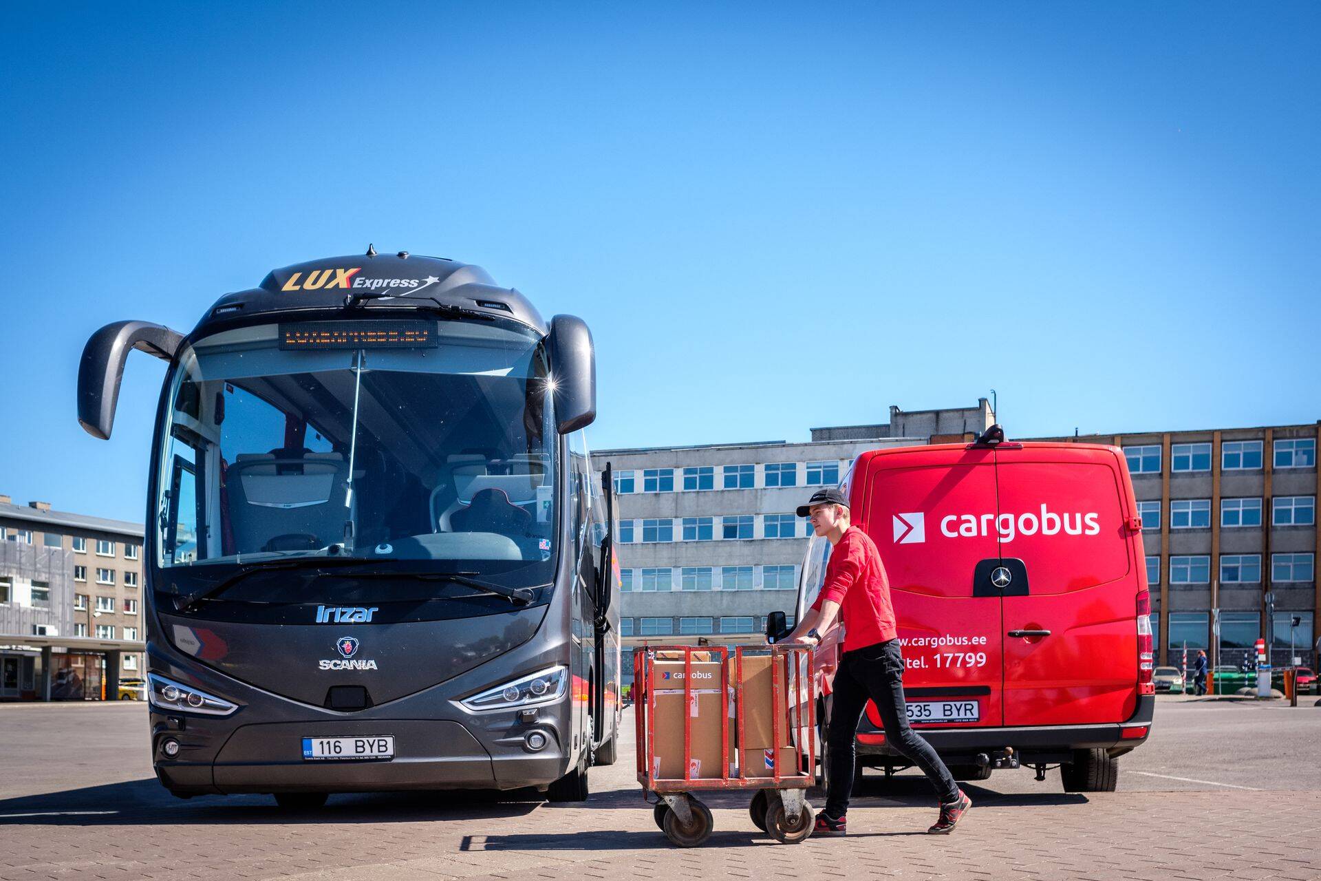 Cargobus kuulub Mootor Grupp ASi koos ettevõtetega SEBE, Lux Express, Lux Charter, Lux Bus Service, T Grupp ehk Tpilet, Busland, Turnit, Milrem LCM, Timeless ja Tallinna Bussijaam