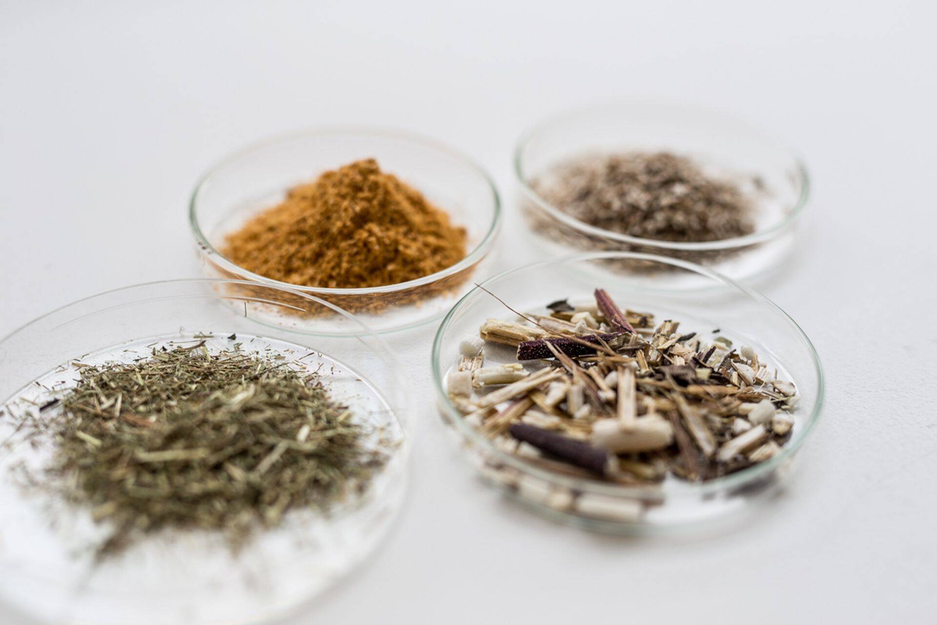 Biomassist biokütuste tootmisega tegeletakse ka Eesti Maaülikoolis. Uurimise all on nii puidust, rohemassist kui vetikatest kütuste tootmine.