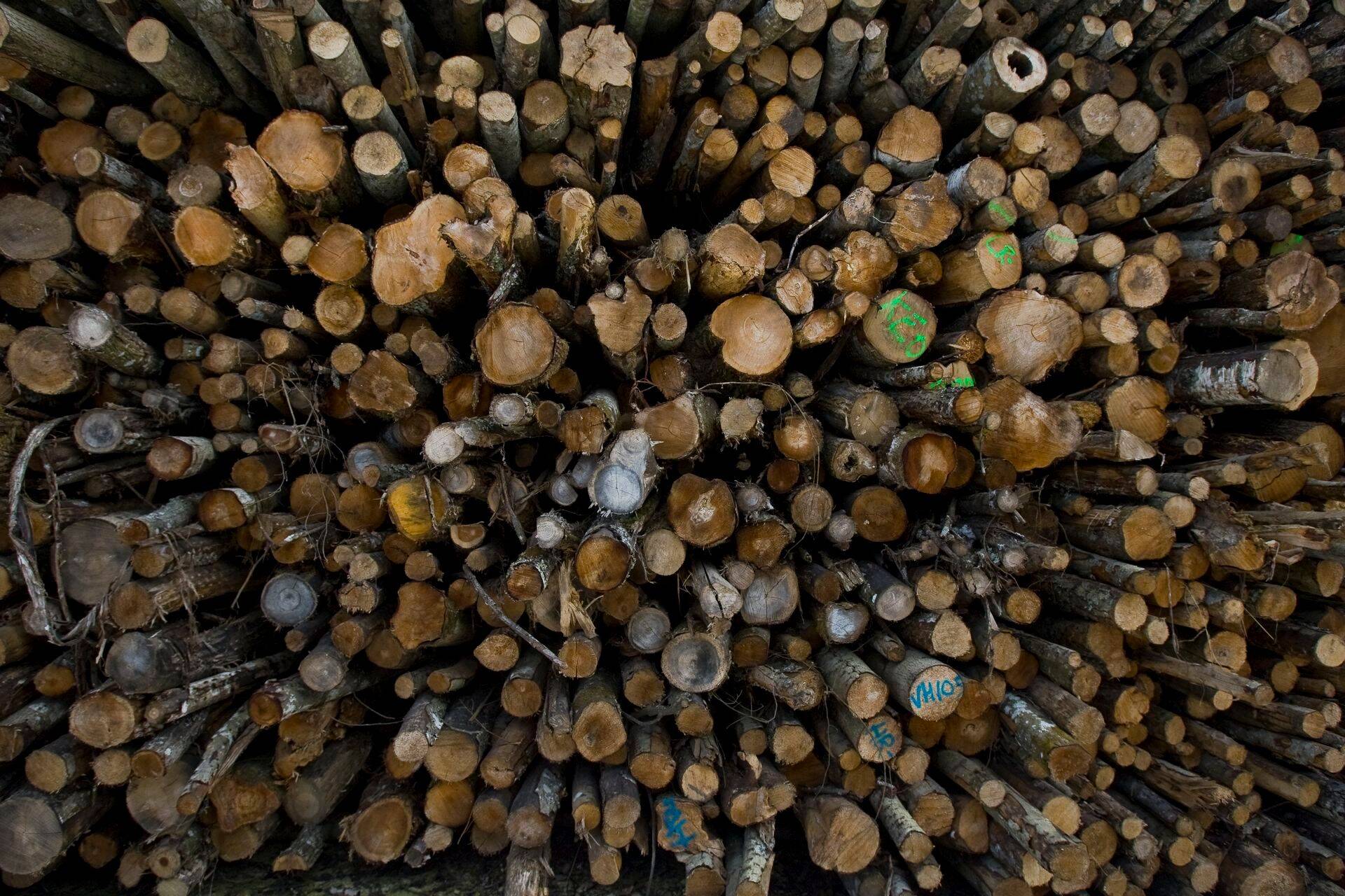 Puit on üks olulisemaid ekspordiartikleid.