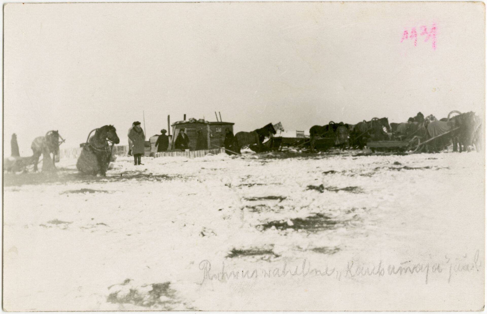 Salapiiritusevedajate kohtumispaik Soome lahe jääl aastal 1931.