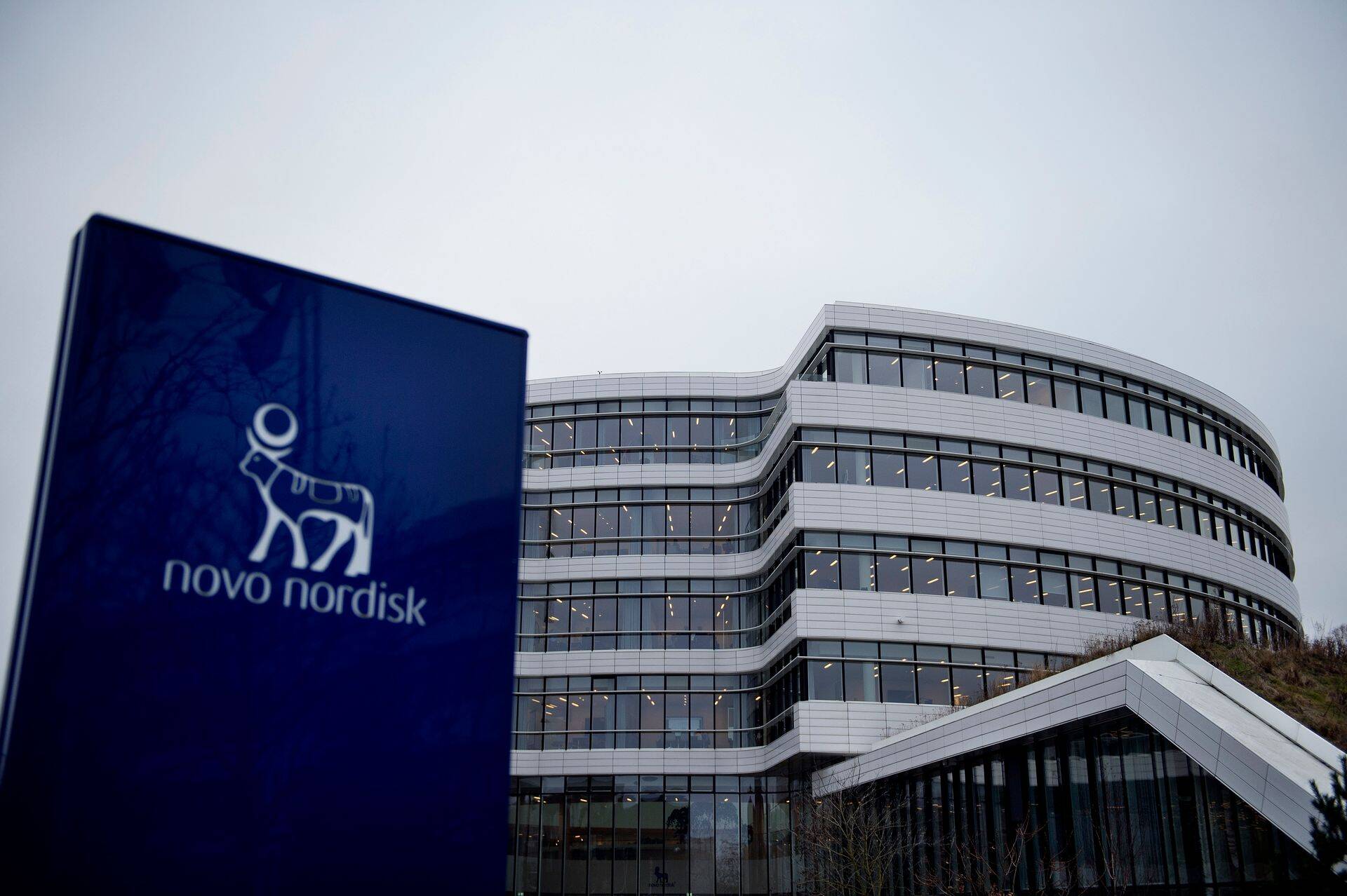 Taani ravimitootja Novo Nordisk otsib tooteportfellile lisandust.