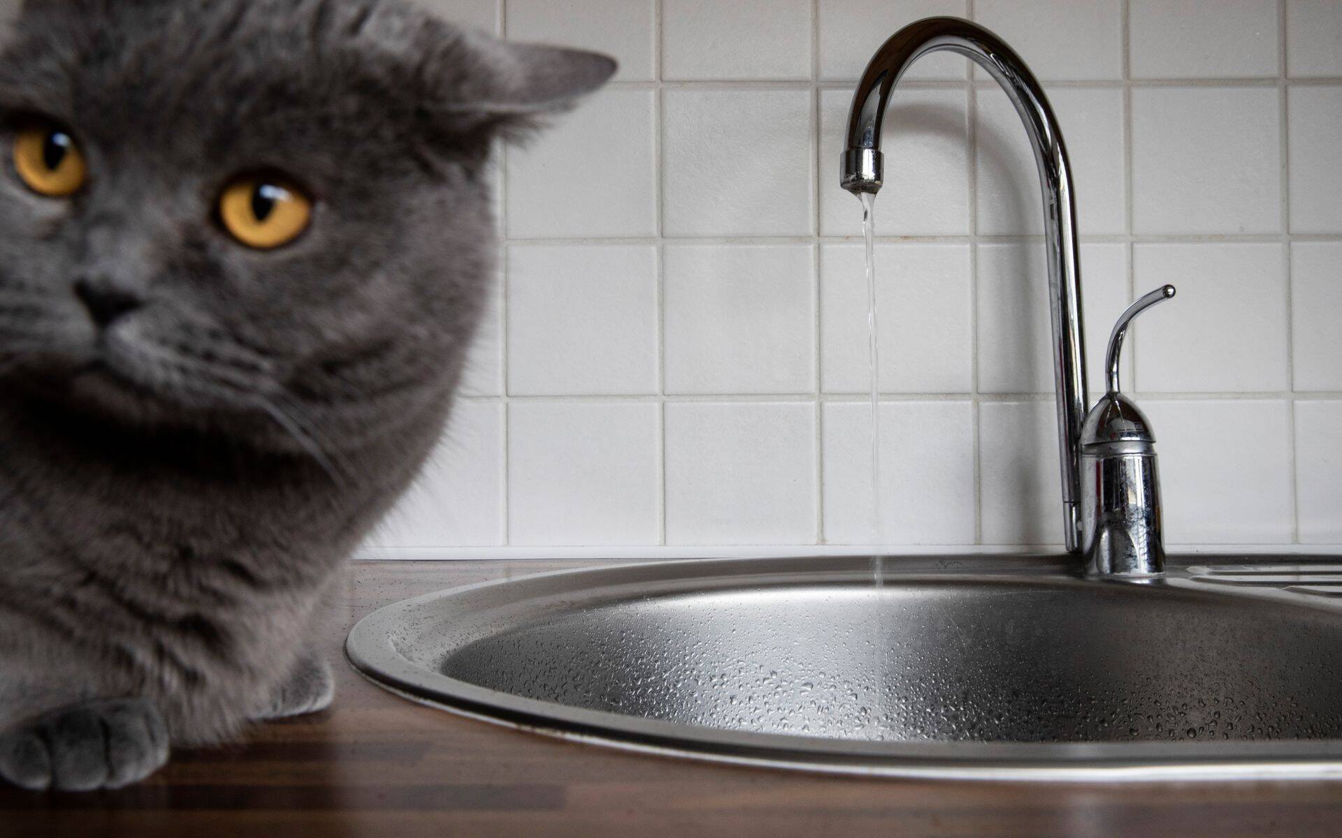 Вода подорожает не только для предприятий, но и для населения.