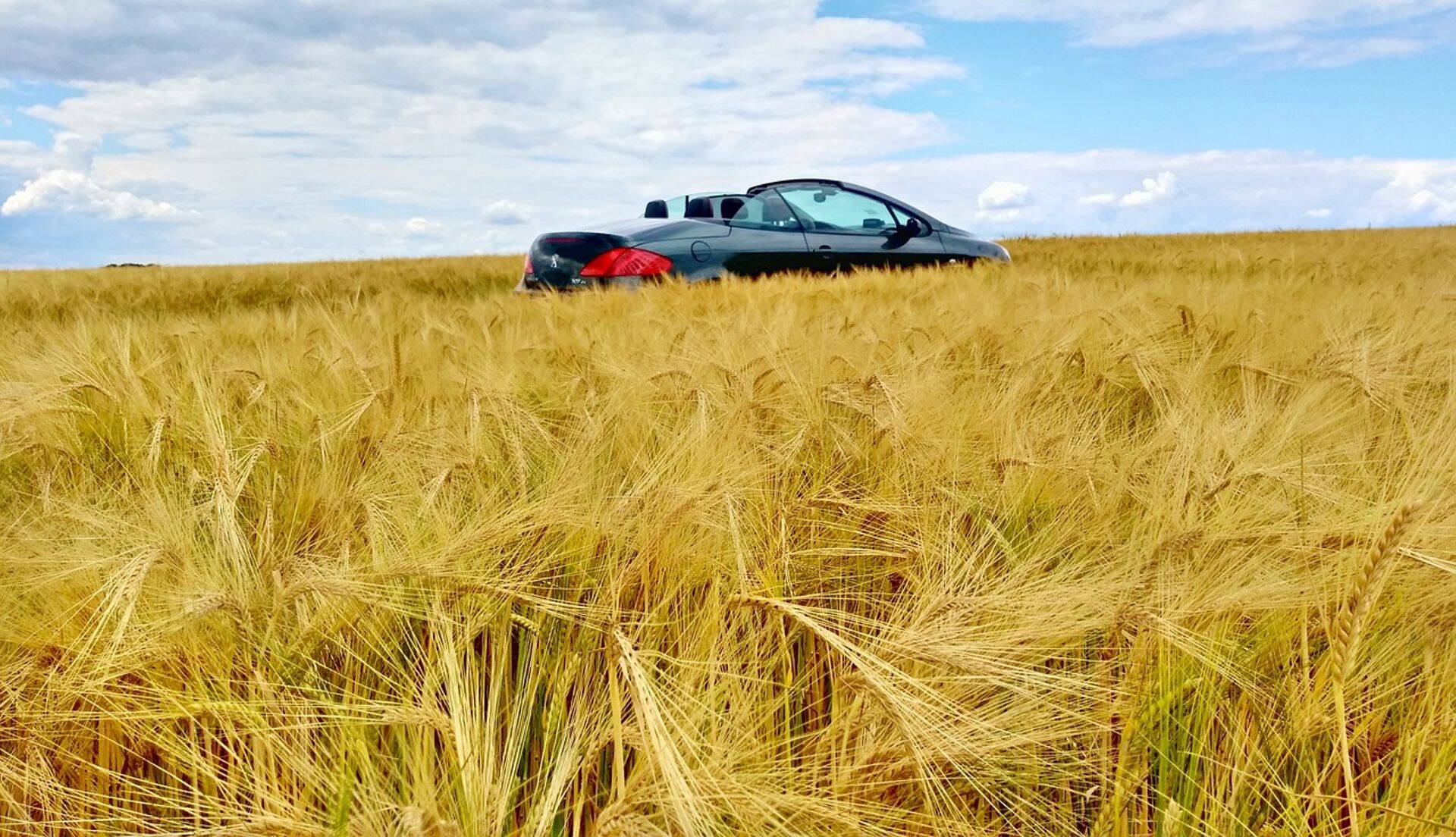 Ebaselge on nii plaanitud automaksu eesmärk kui selle kehtestamise möödapääsmatu vajadus.