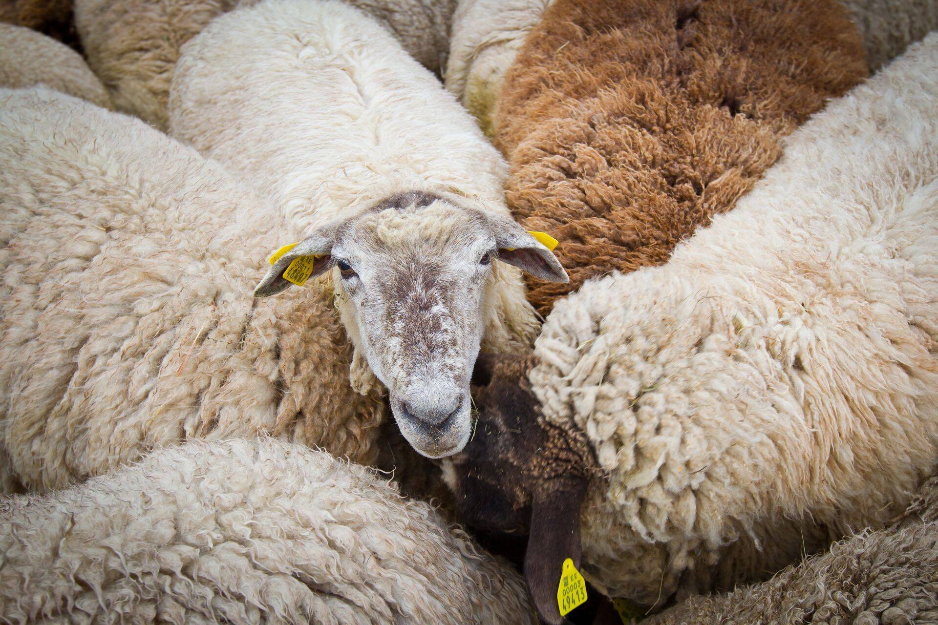 Eesti maapiirkonnad saavad tõhusa rahasüsti.