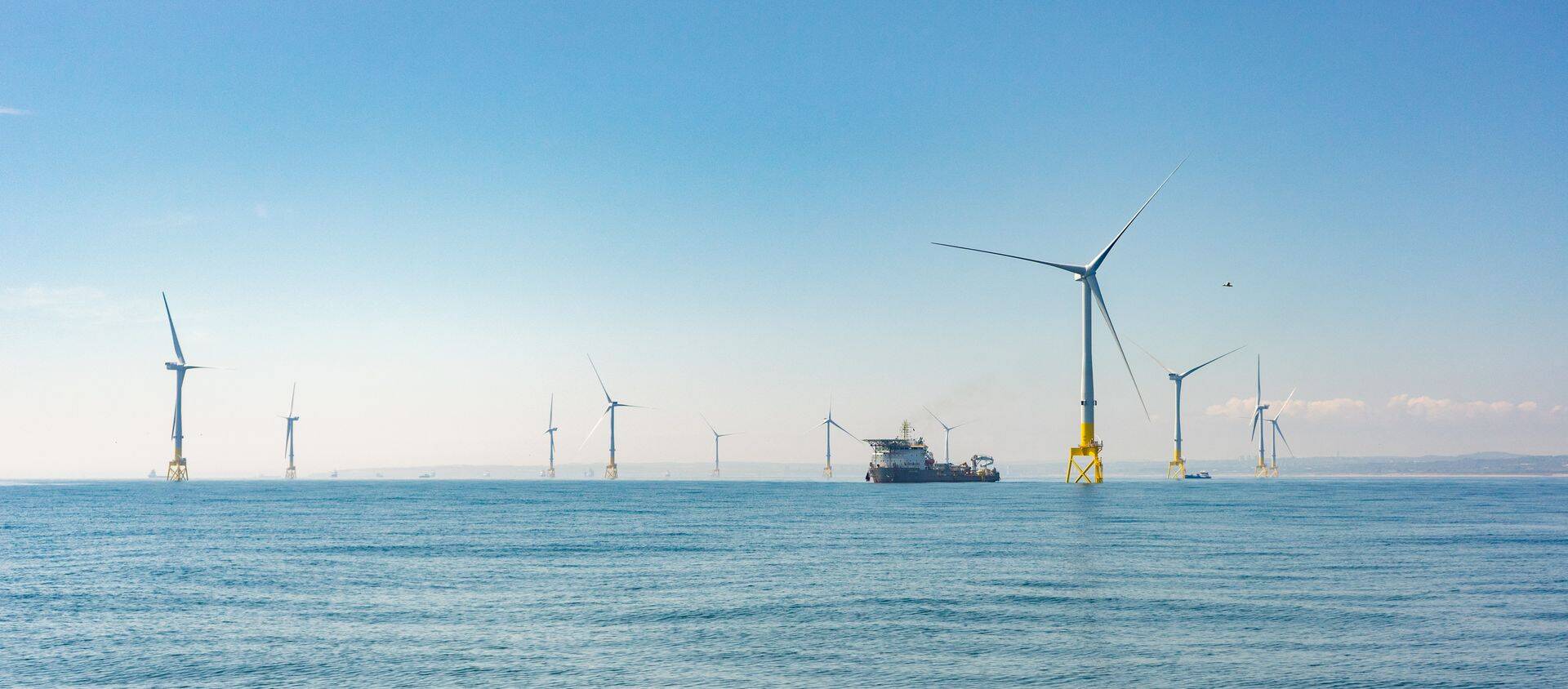 Vattenfalli tuulikud Šotimaa lähistel.