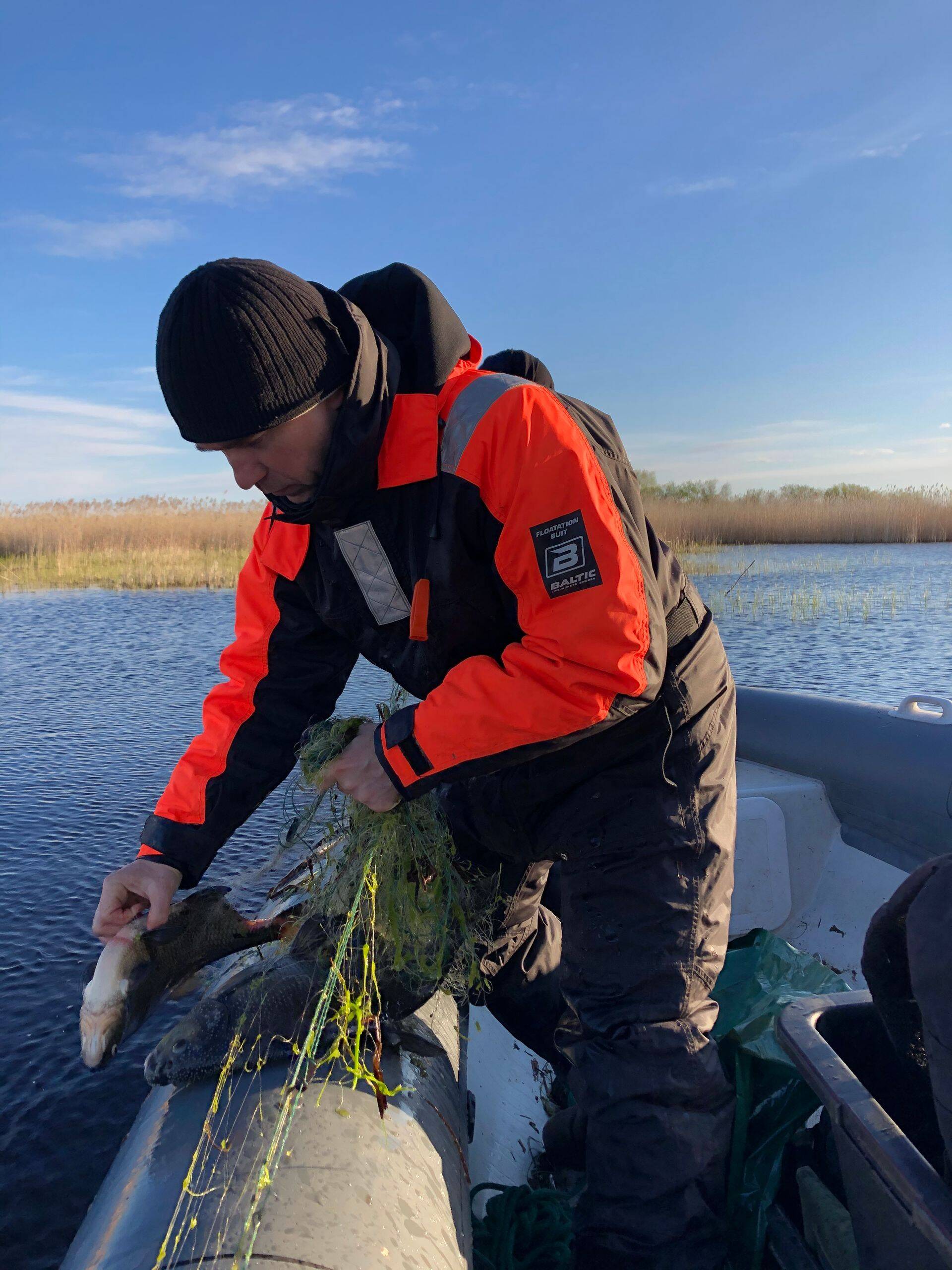 Kudeaegne püügikeeld Peipsi latikale kehtib 5. mais kuni 10. juunini.