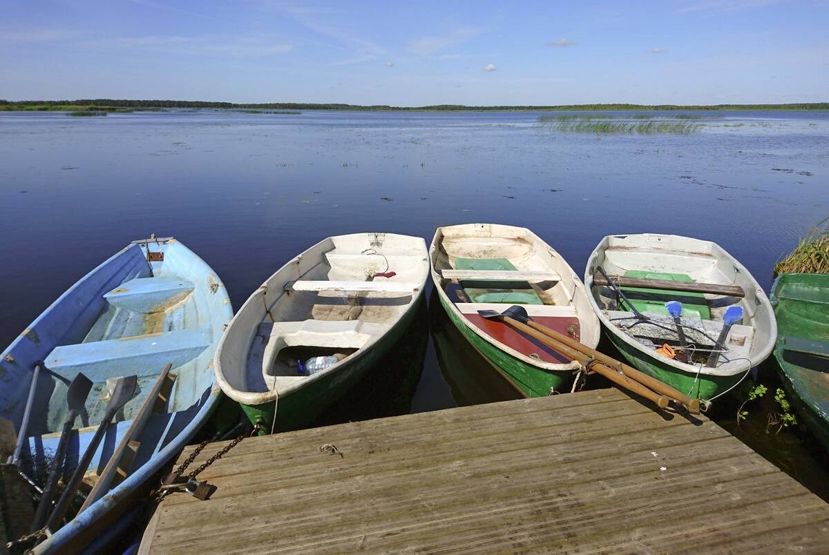 Vaade suvisele Endla järvele.