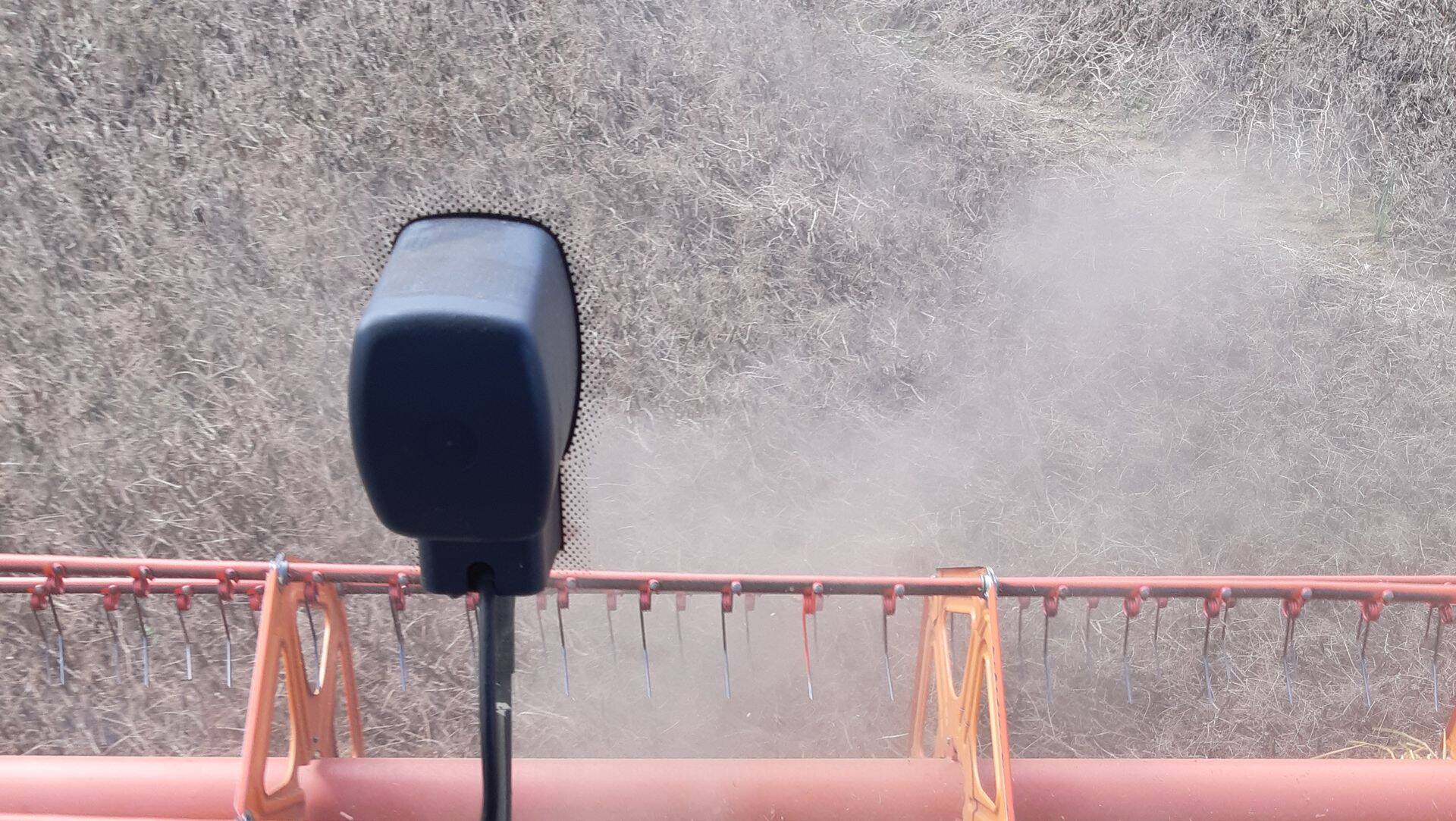 Ka hernes sai koristatud.