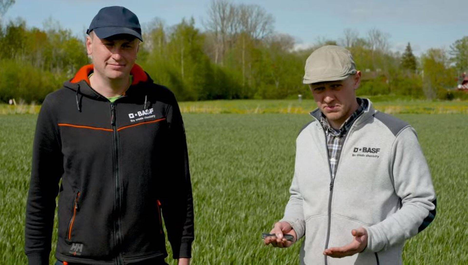 BASFi agronoomid virtuaalsel põllupäeval jagamas head nõu.