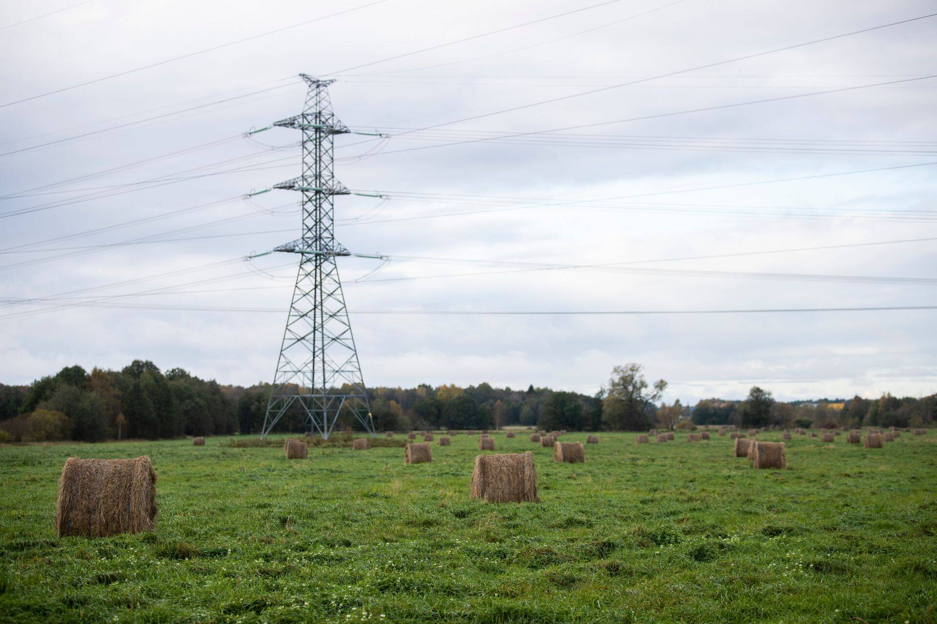 Maa korralise hindamise käigus hinnati ainult maad, ei hinnatud kasvavat metsa ja ehitisi.