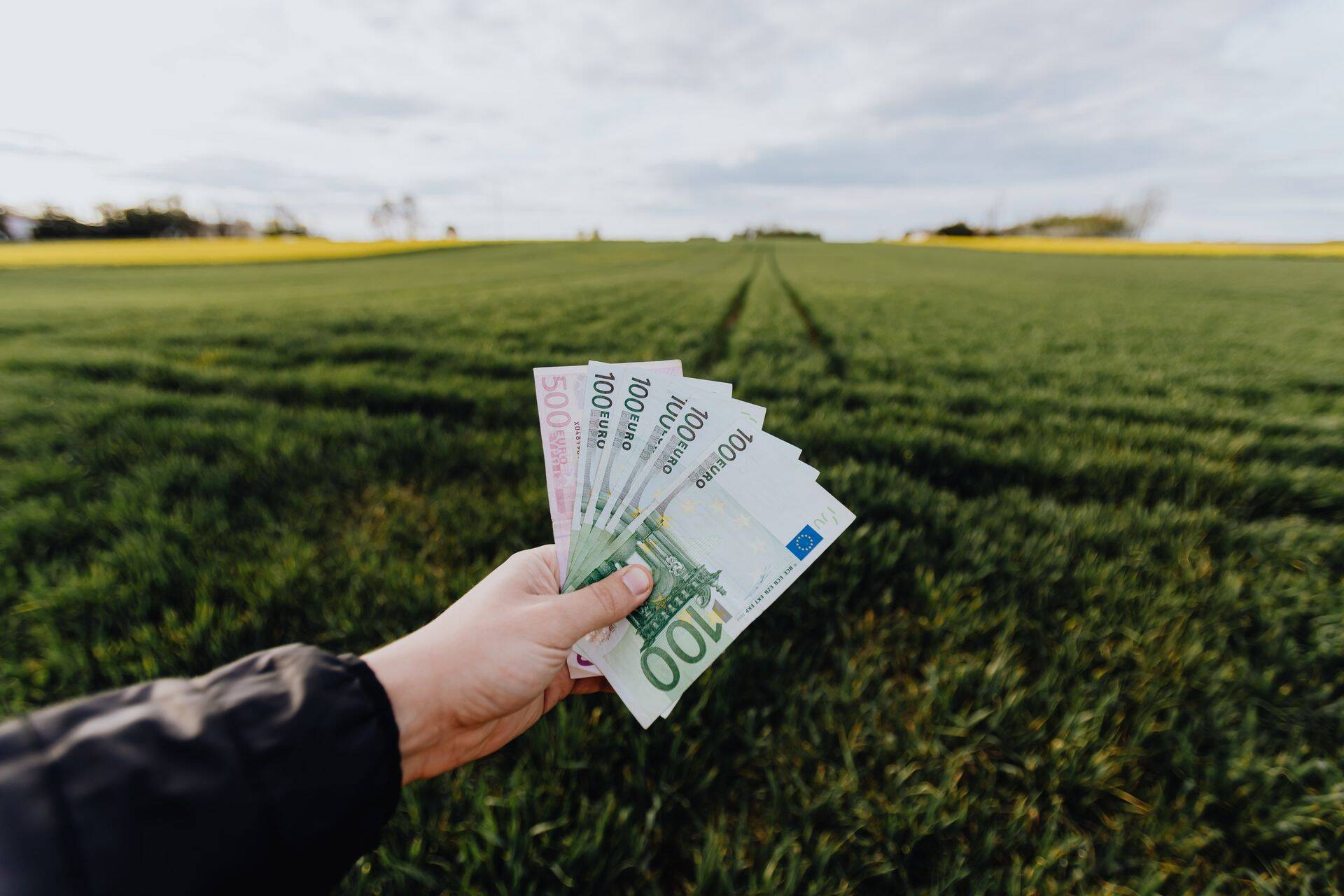 Riik suurendas maapiirkonnas majandustegevuse mitmekesistamise toetust.