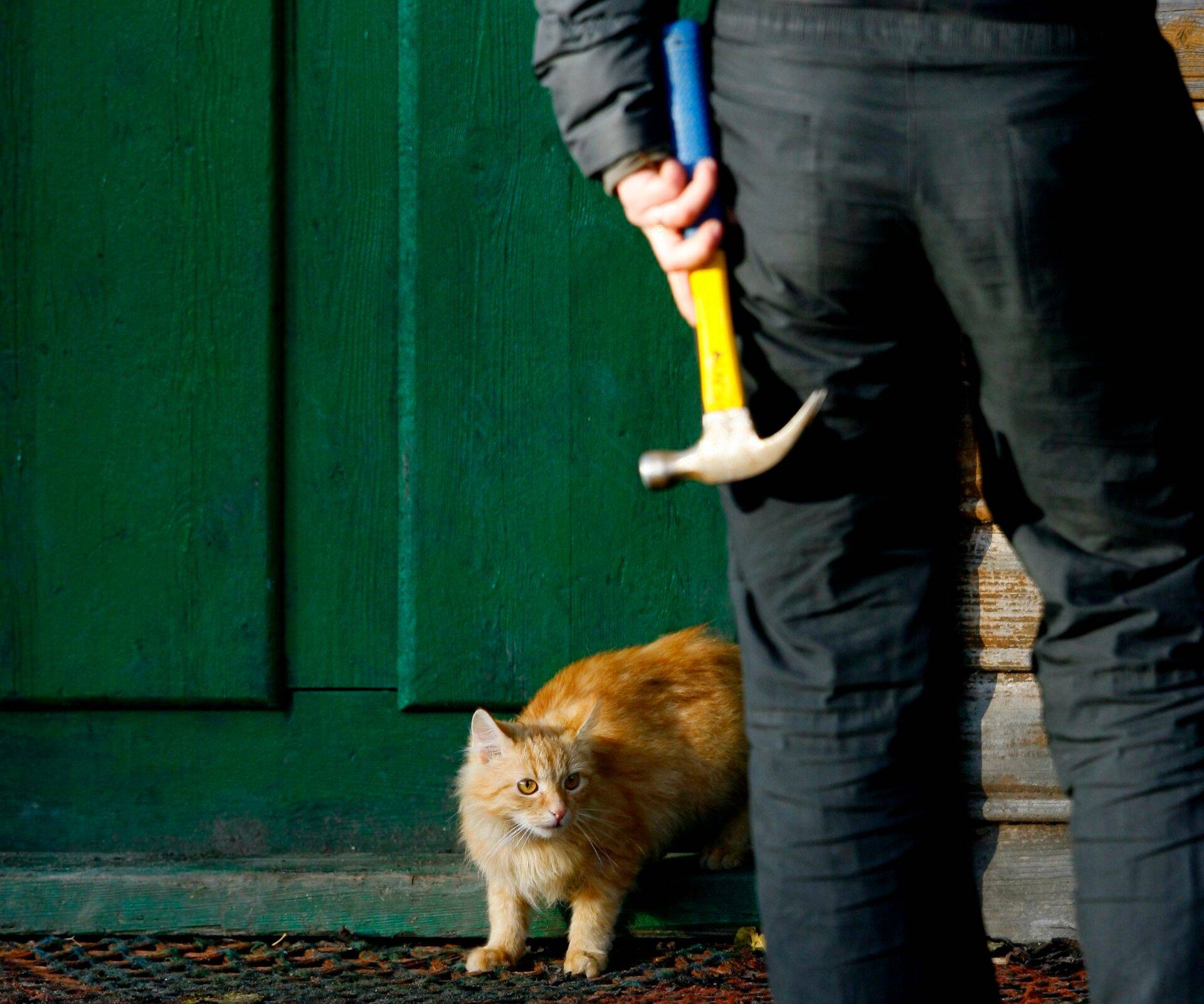 Kiiret ja lihtsat raha arendusturult loota on ülim naiivsus ja see peletab arendusturult eemale igasugu õnneotsijaid ja soss-seppasid, leiab Raul Reino.