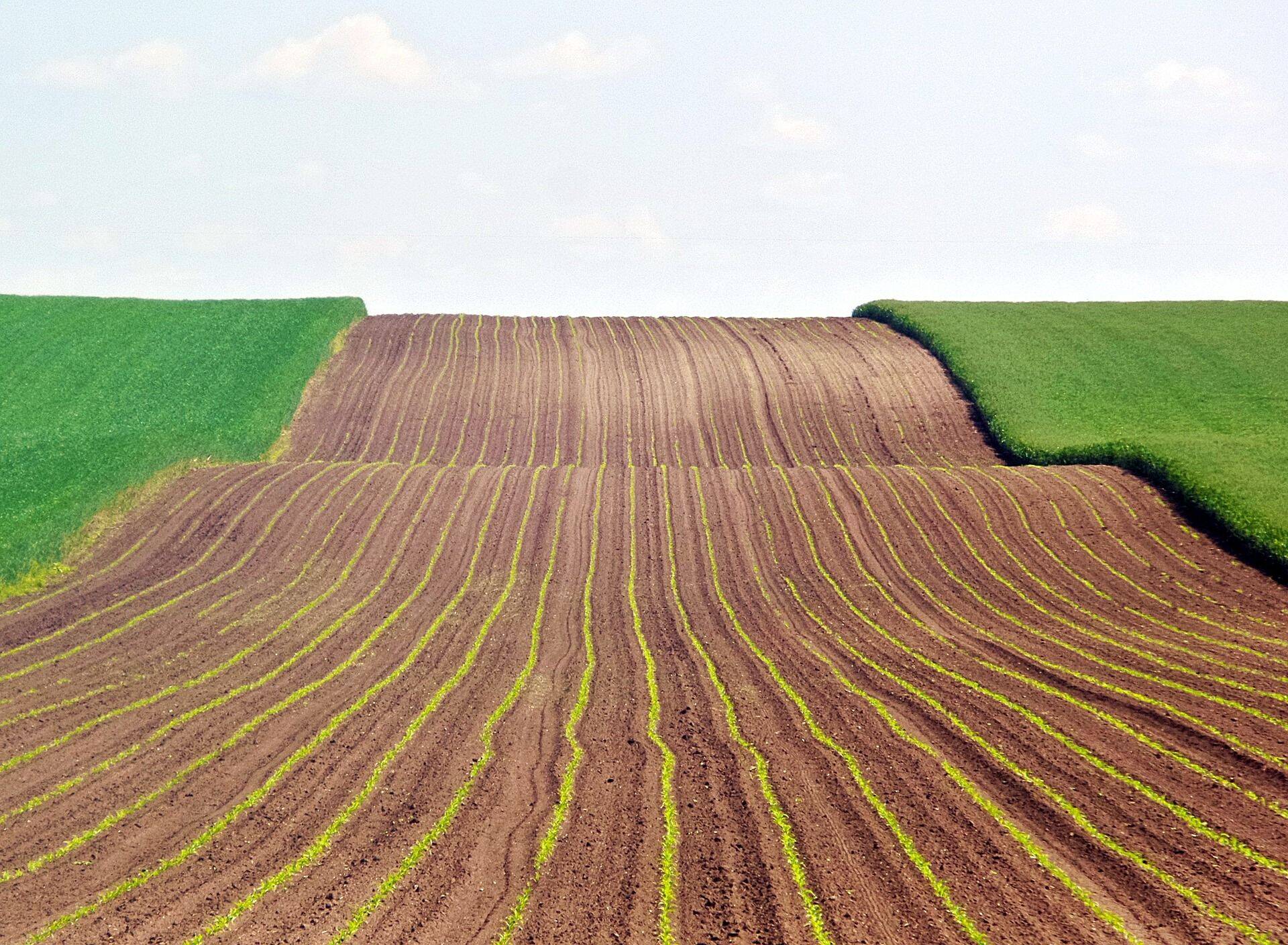 Digitaalsed jäljed mullal