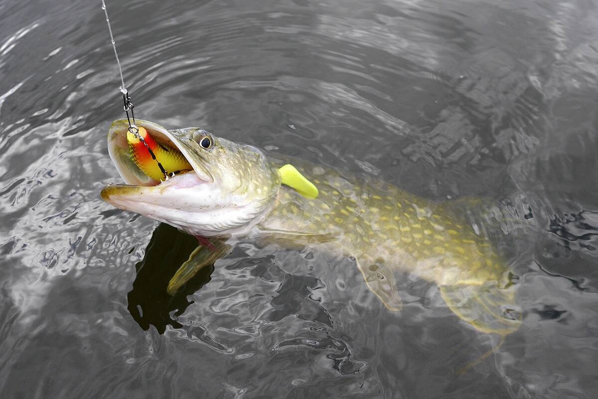 Alati naturaalsed värvingud ei tööta. Selleks puhuks võiks landikarbis olla ka erksamaid toone, nt midagi oranži, kollase ja/või punasega.
